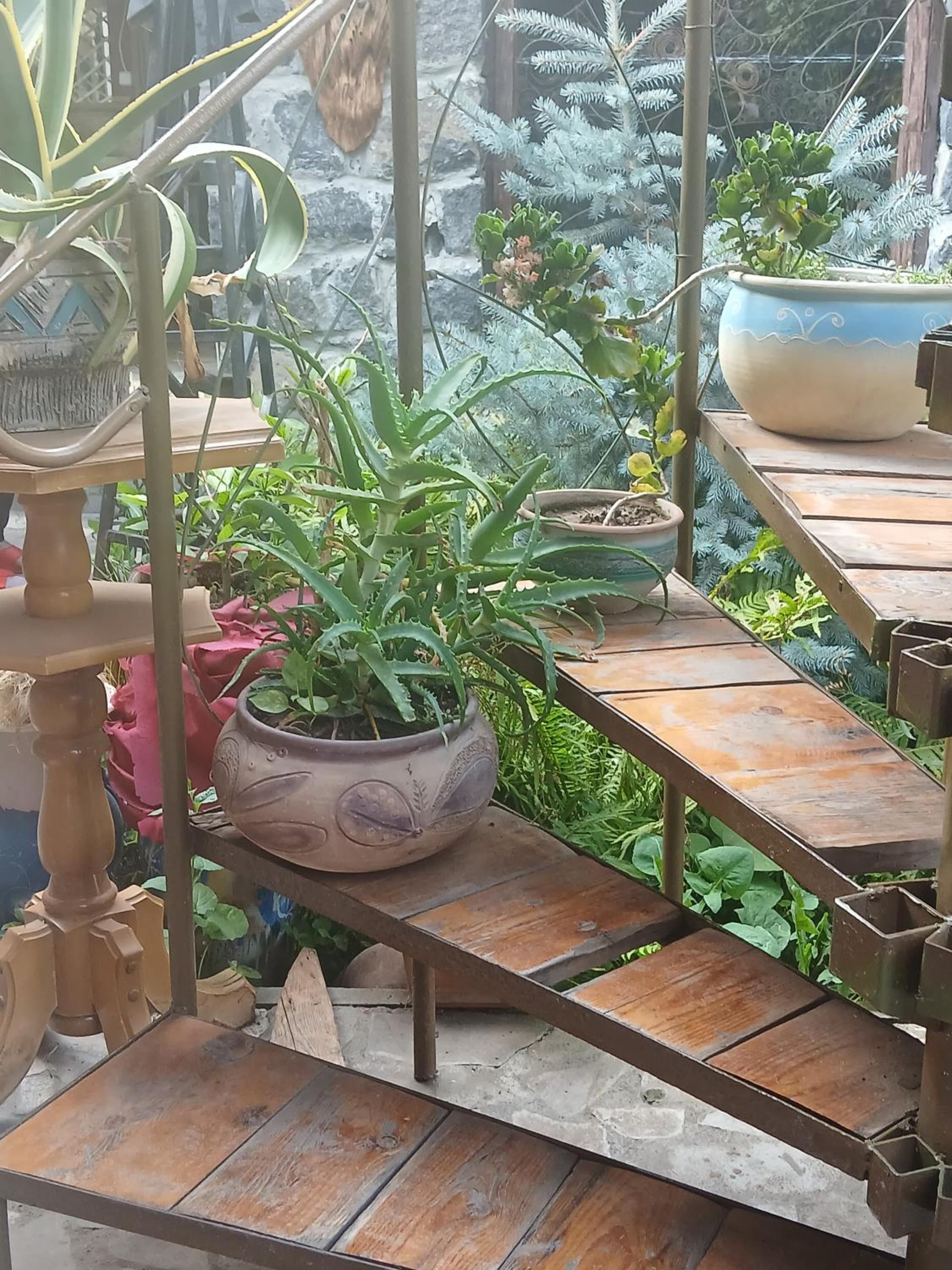 Parsamyan's family guest house and garden