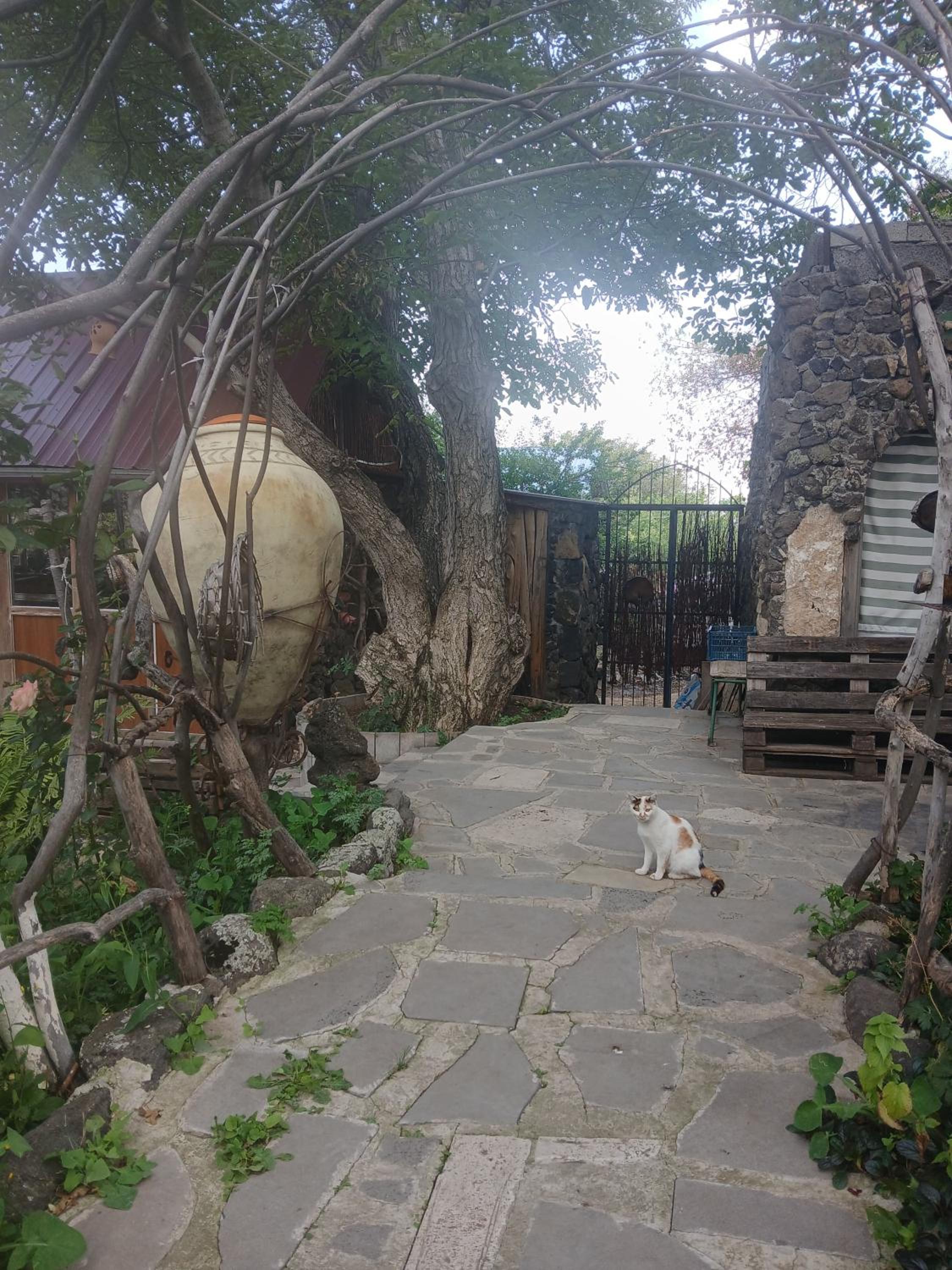 Parsamyan's family guest house and garden