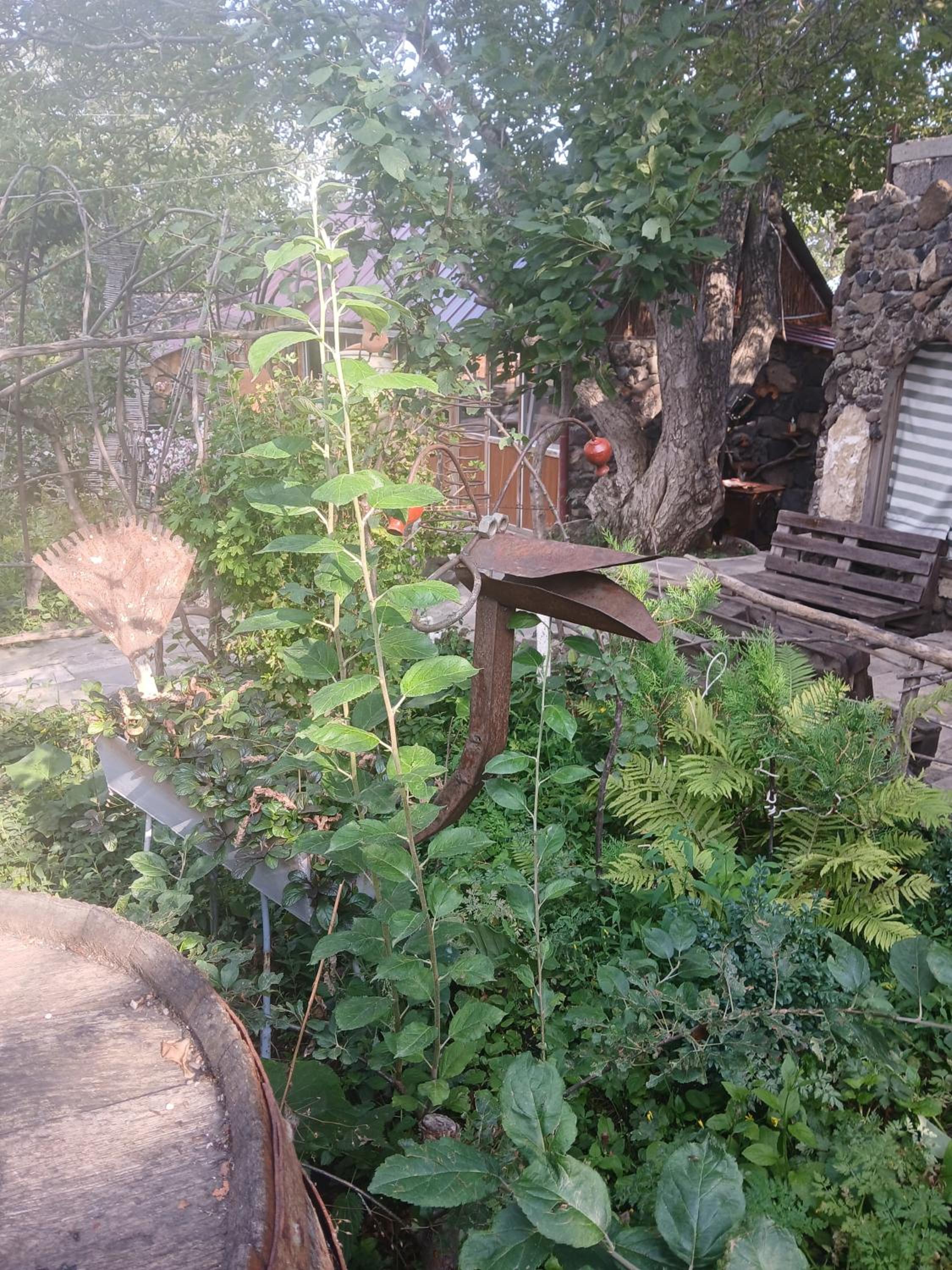 Parsamyan's family guest house and garden