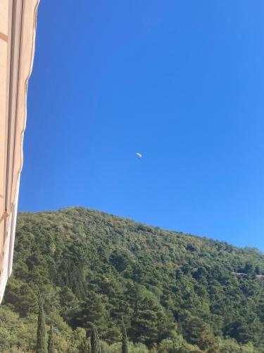 Studio Apartment for rent in Budva view 2