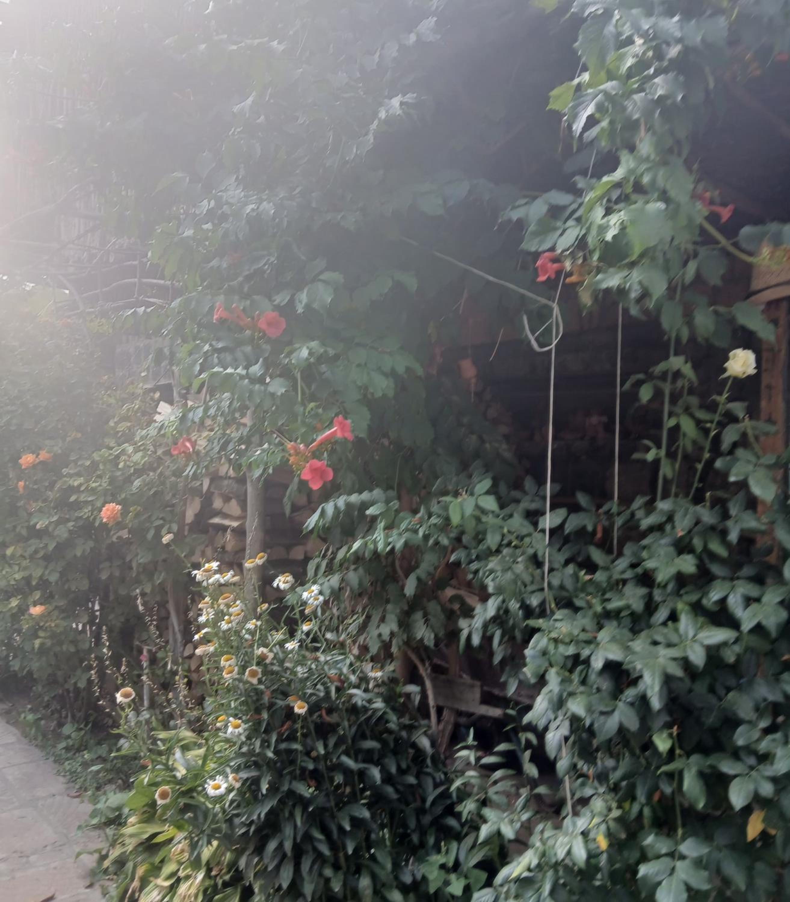 Parsamyan's family guest house and garden