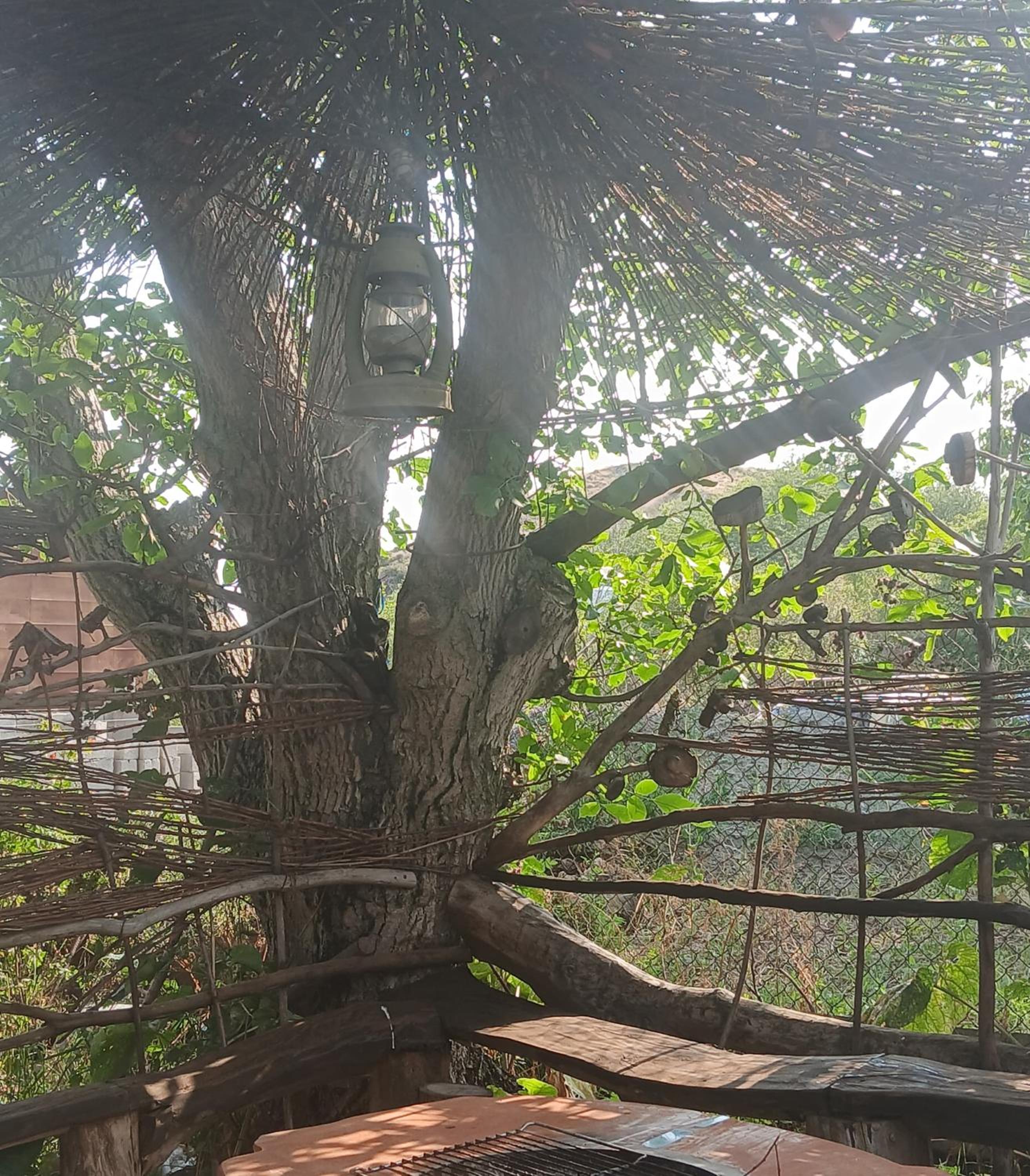 Parsamyan's family guest house and garden