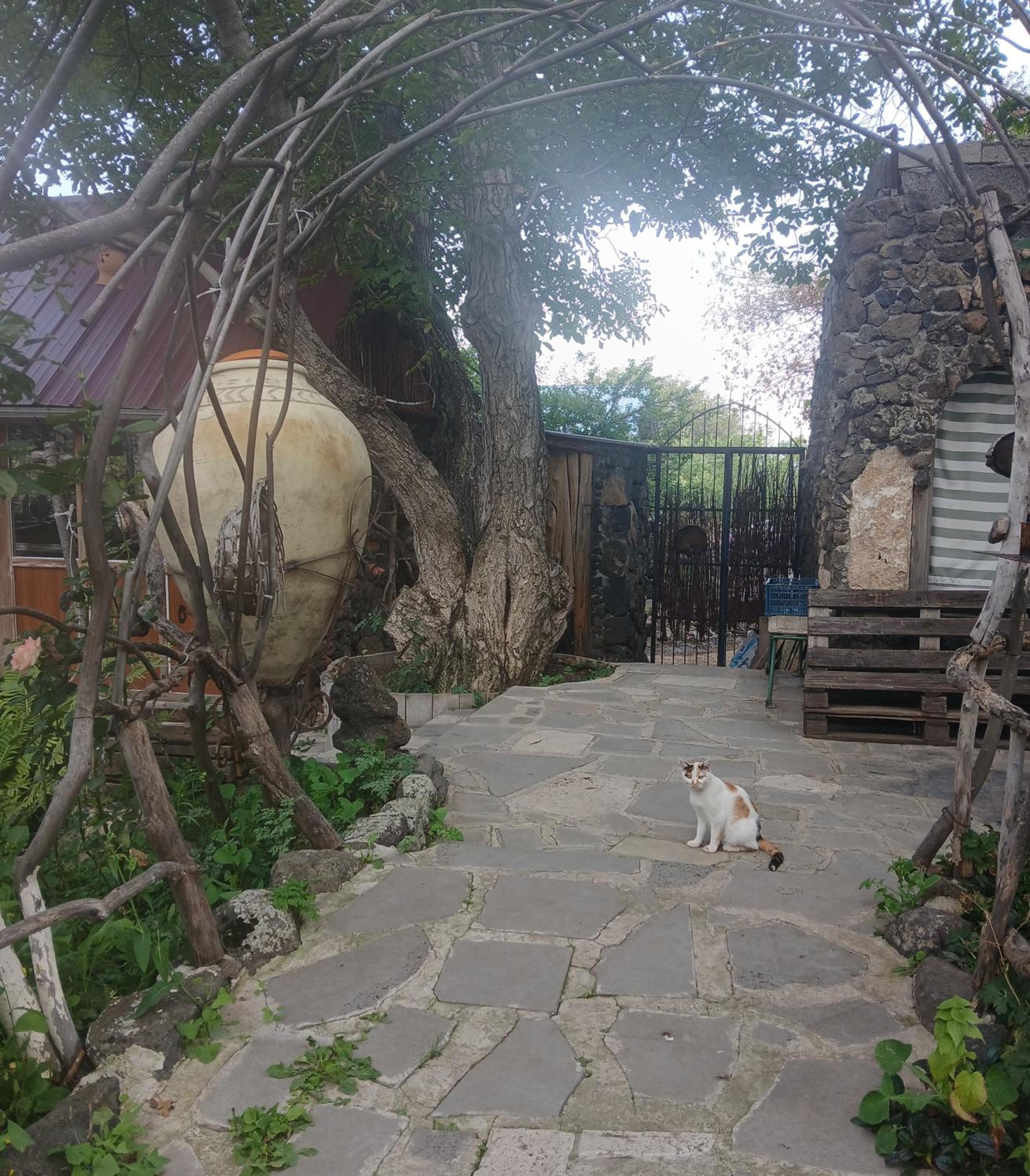 Parsamyan's family guest house and garden