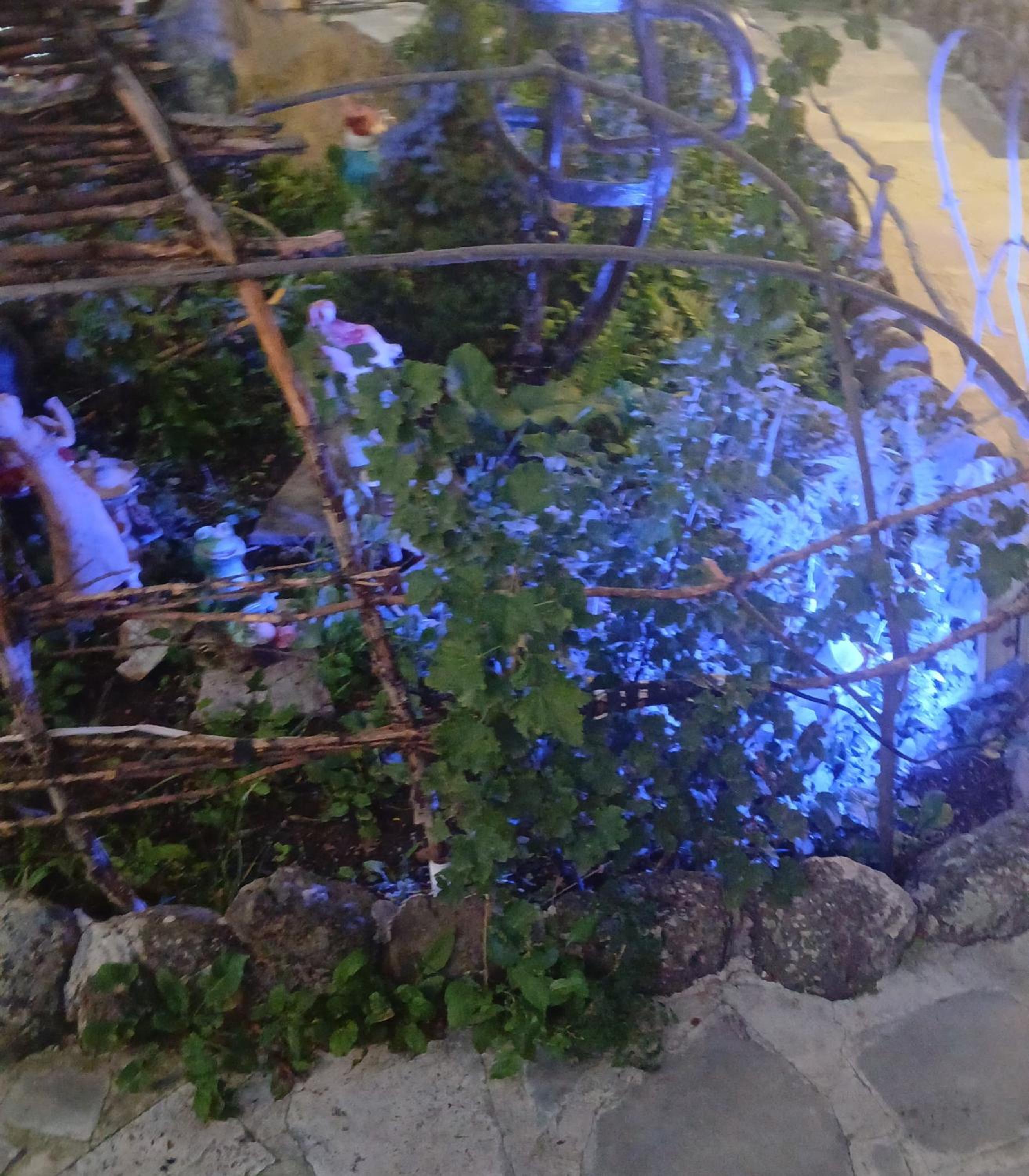 Parsamyan's family guest house and garden