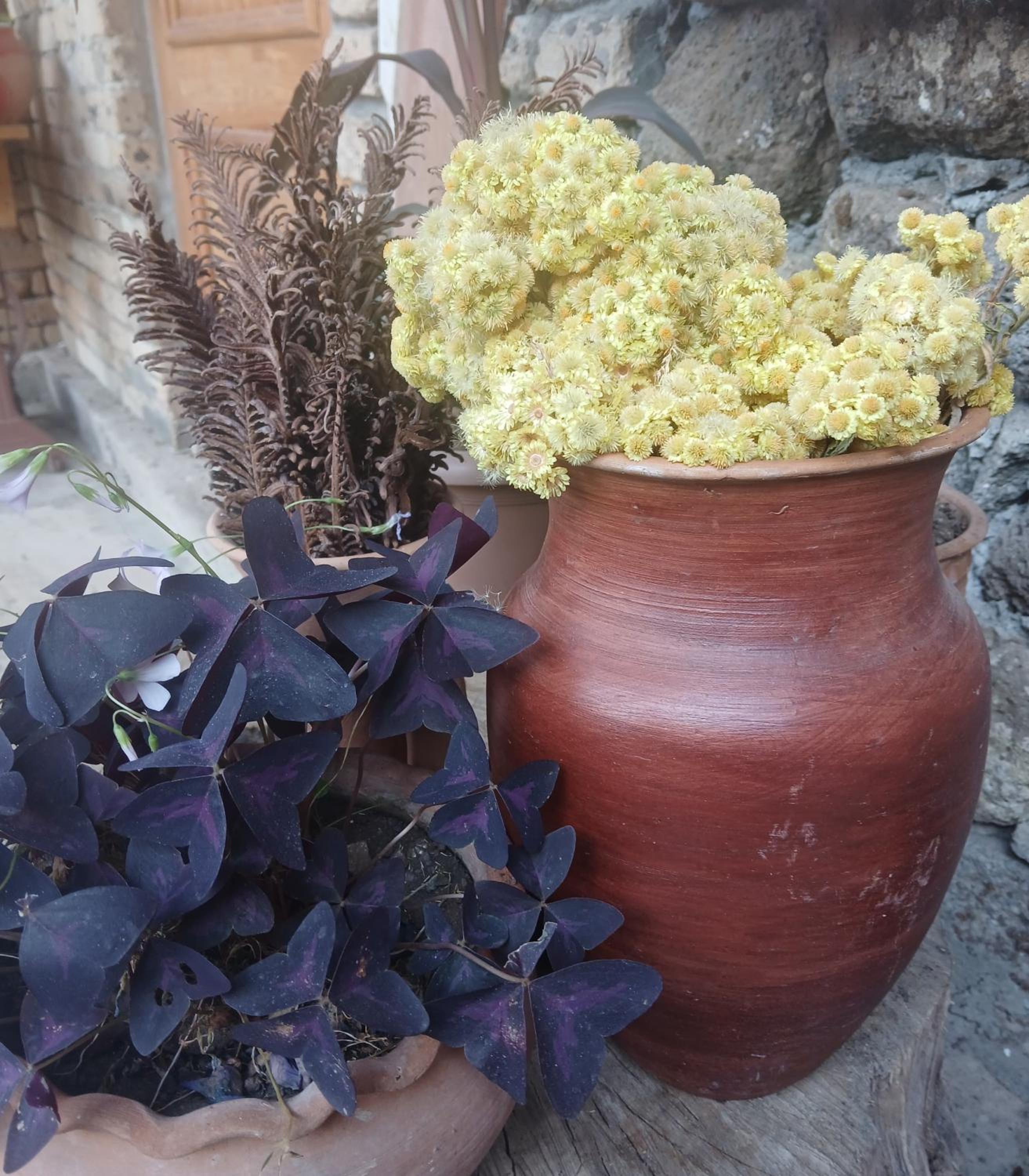Parsamyan's family guest house and garden