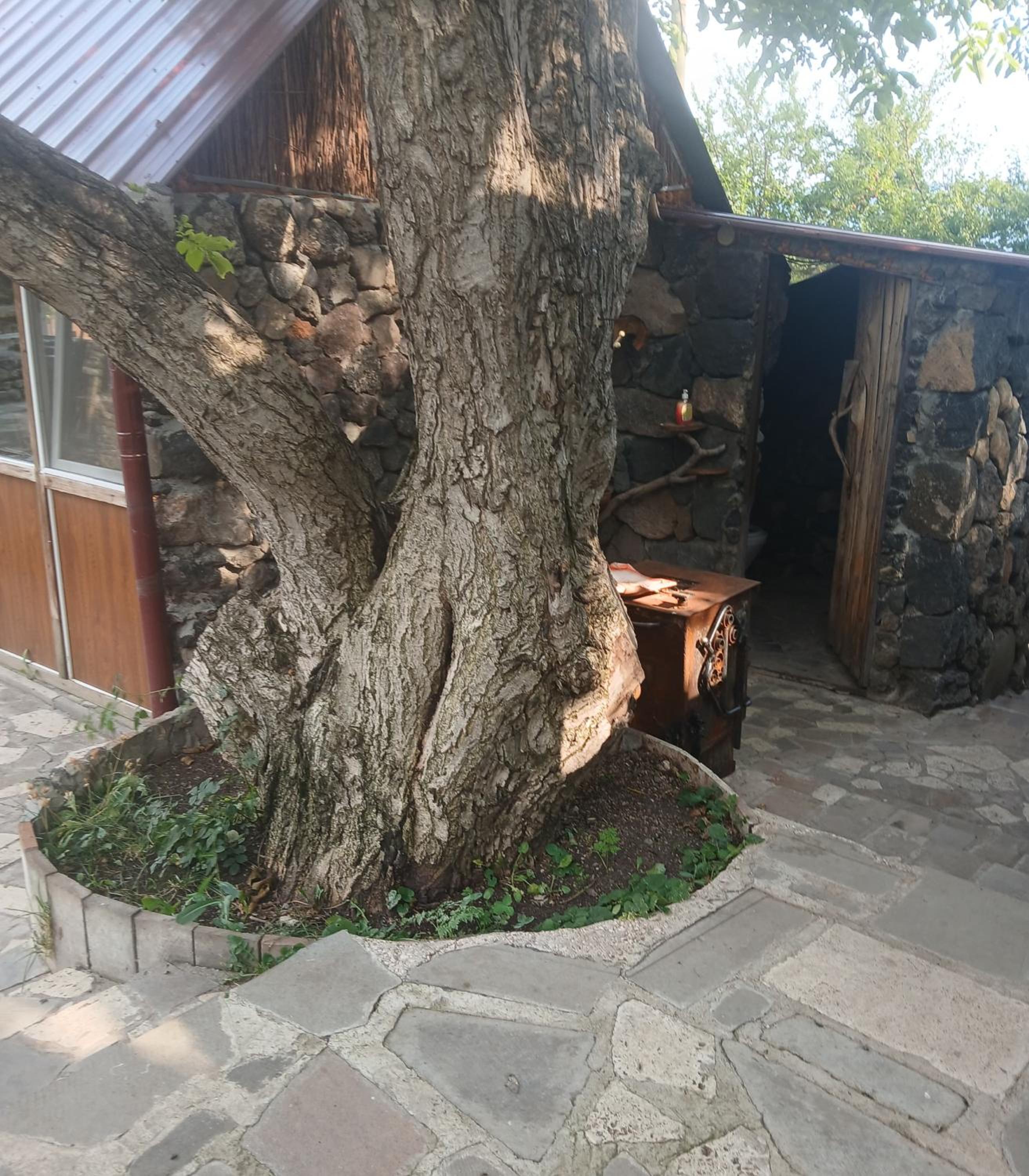 Parsamyan's family guest house and garden