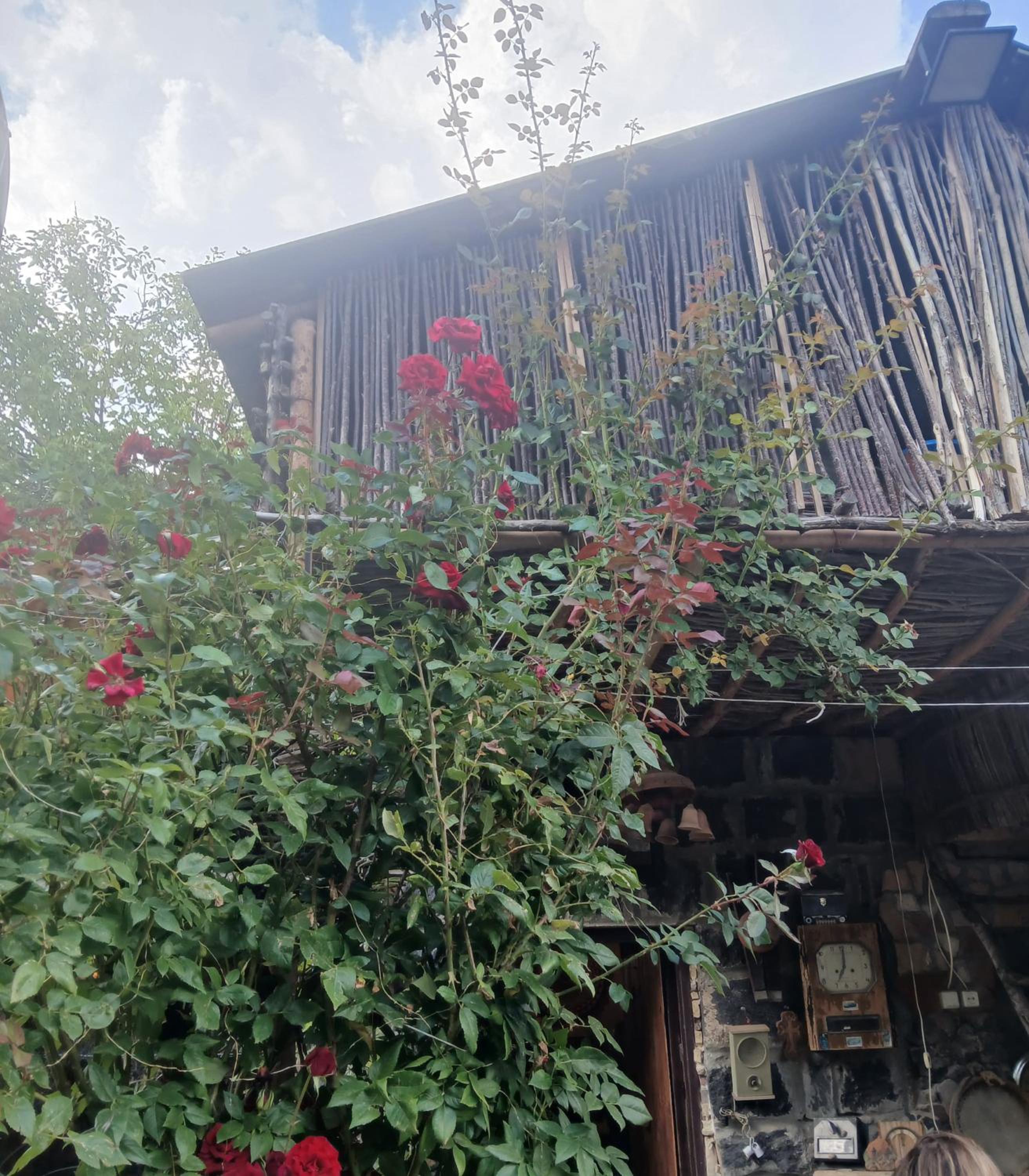 Parsamyan's family guest house and garden