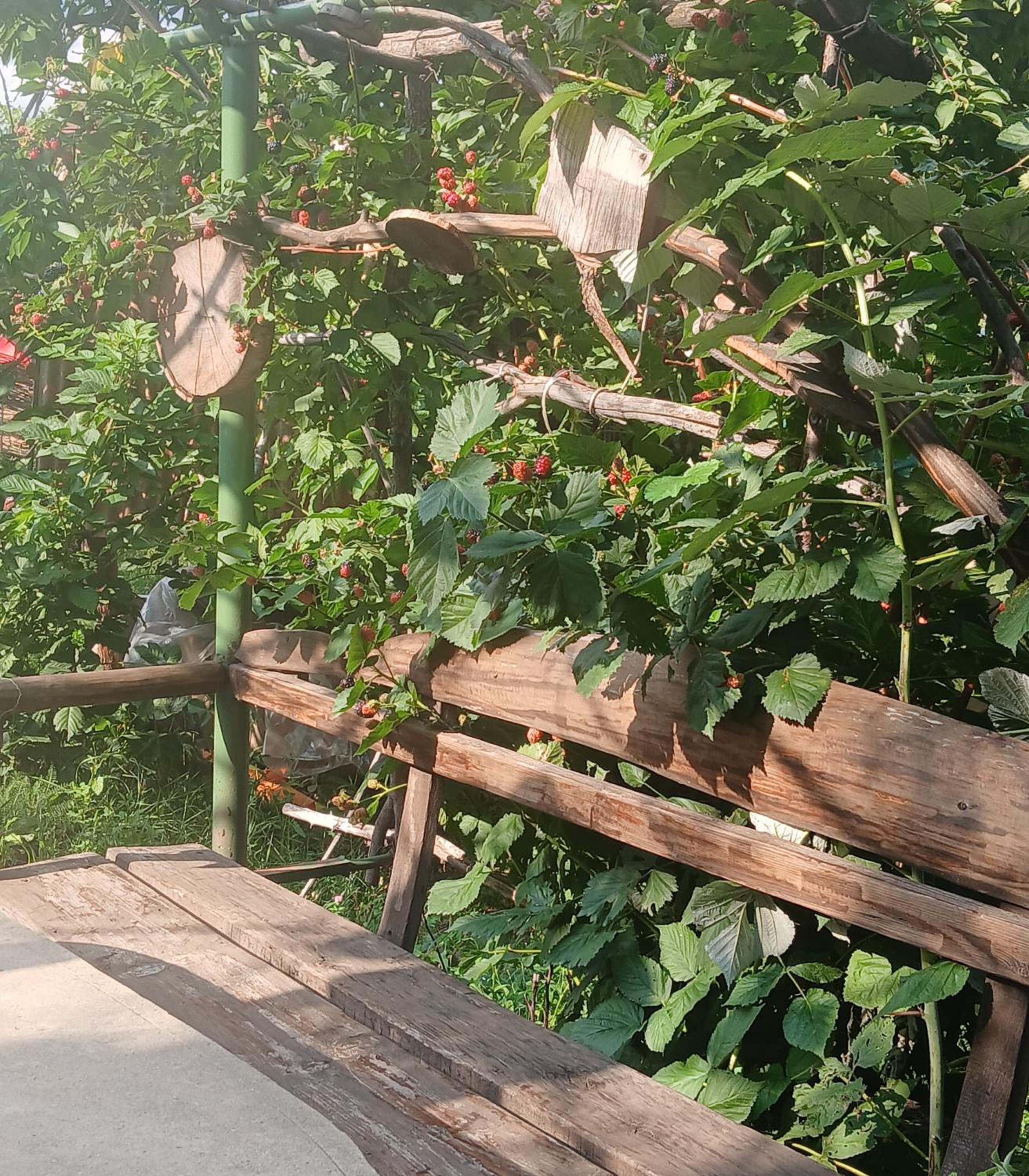 Parsamyan's family guest house and garden