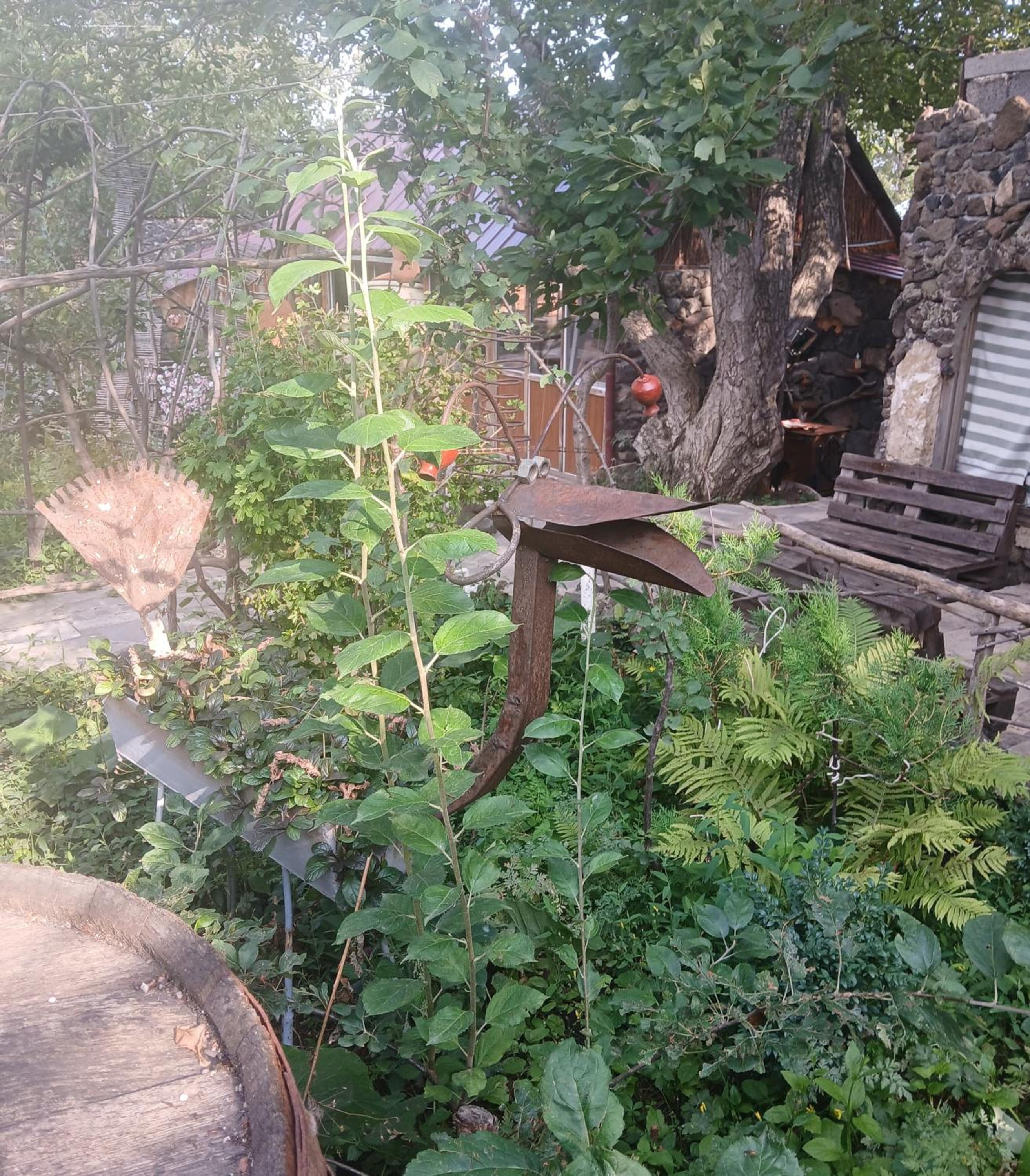 Parsamyan's family guest house and garden