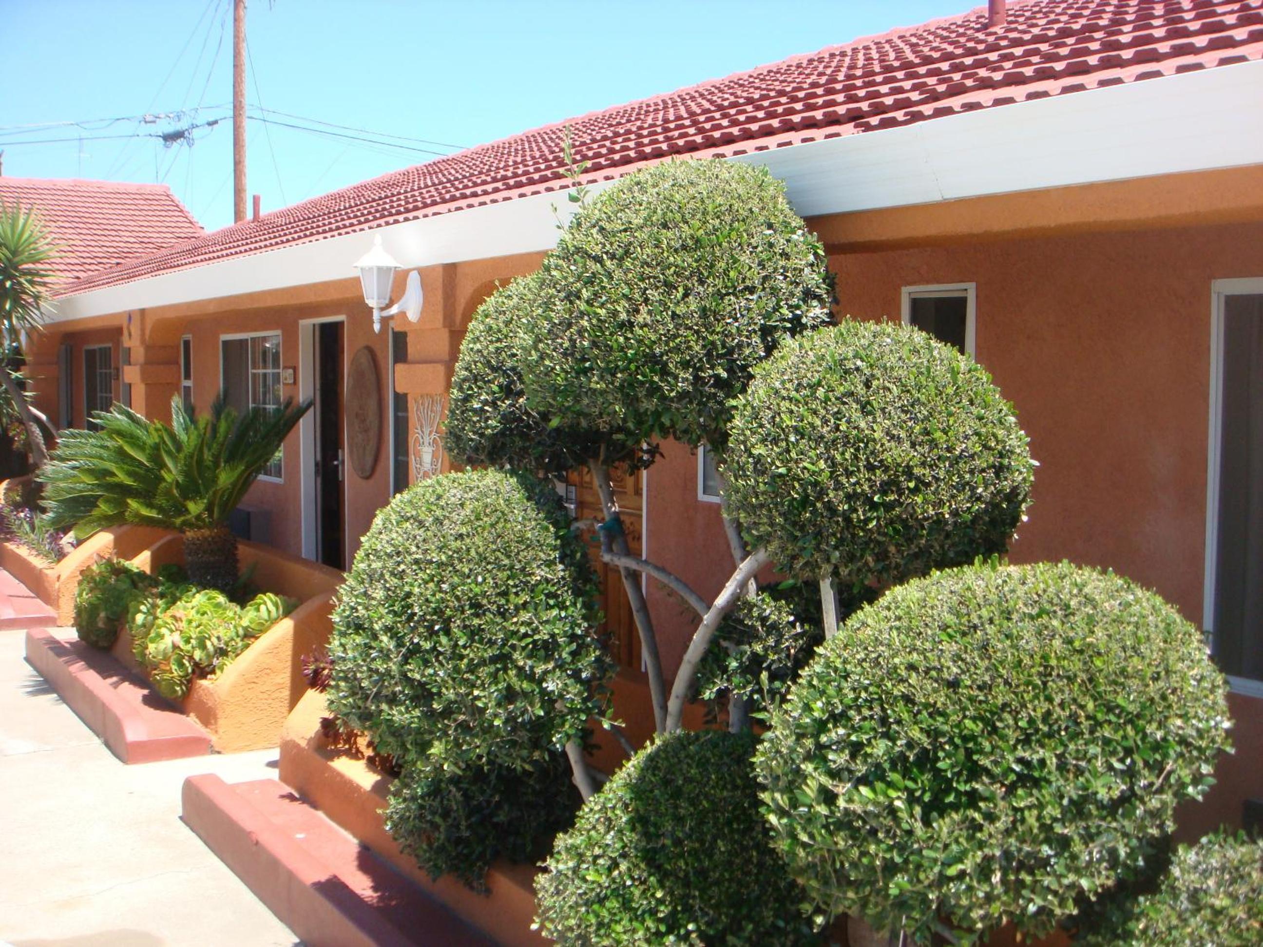 Photo 19