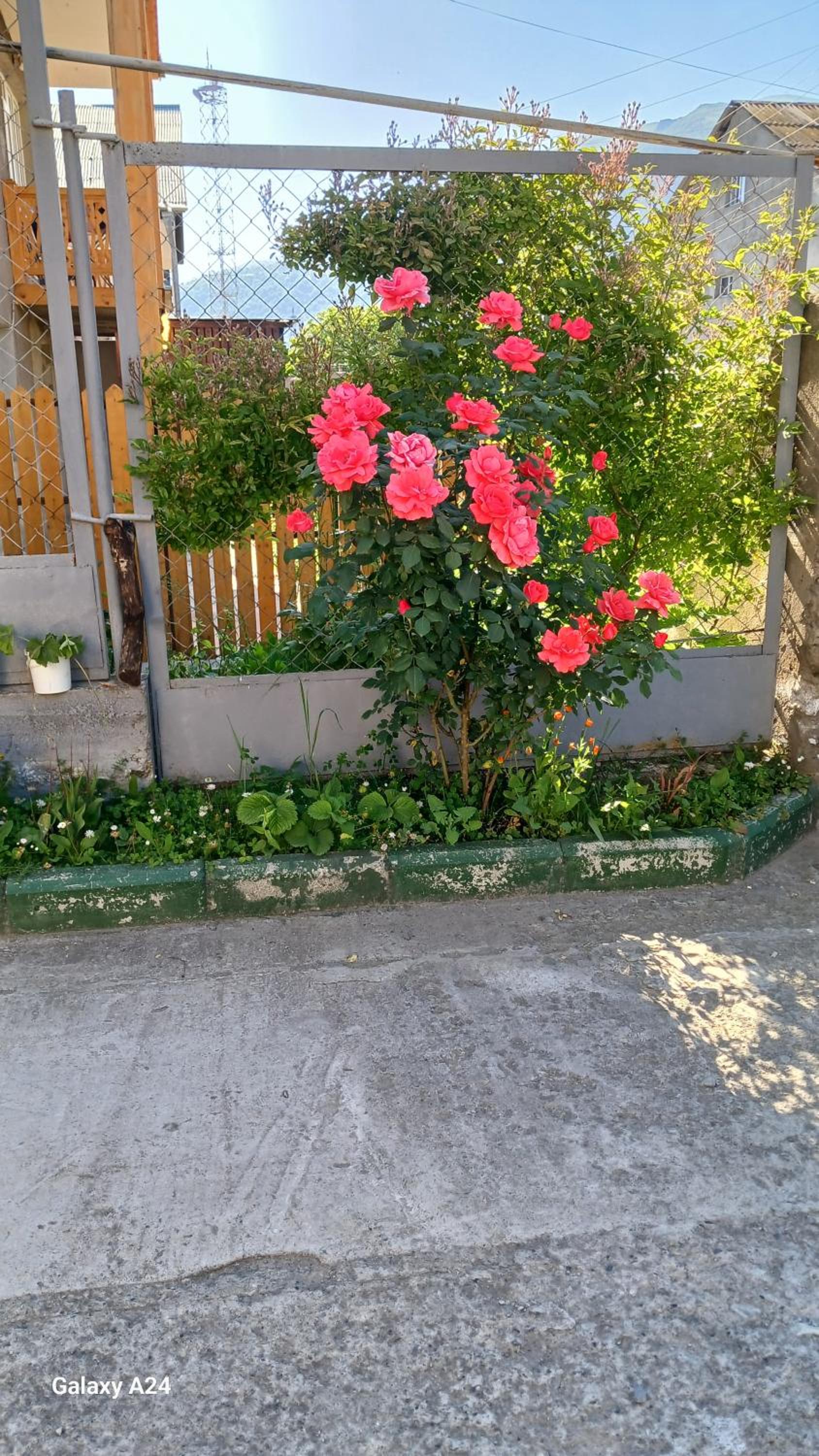 Green Dilijan B&B
