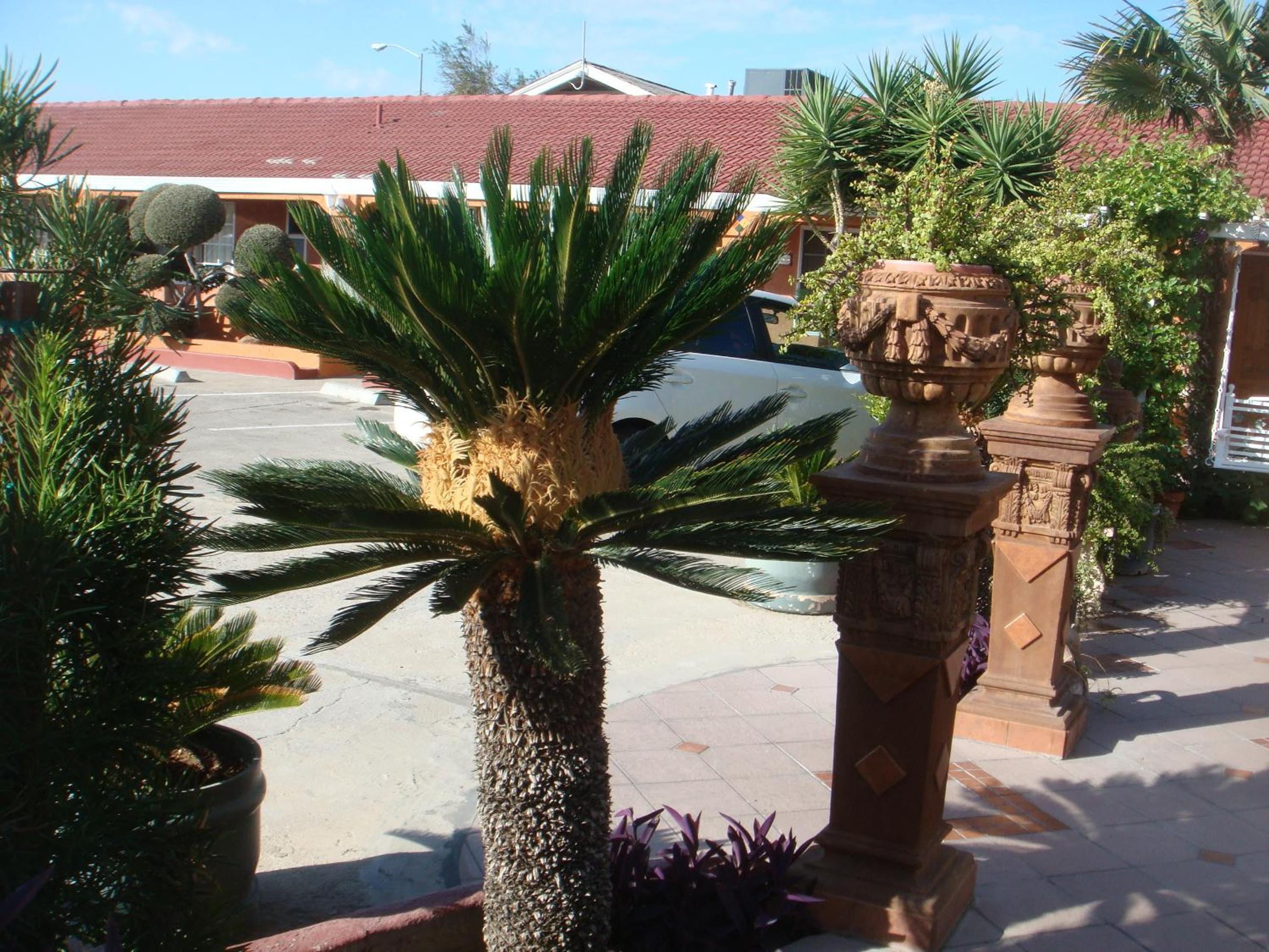 Photo 20