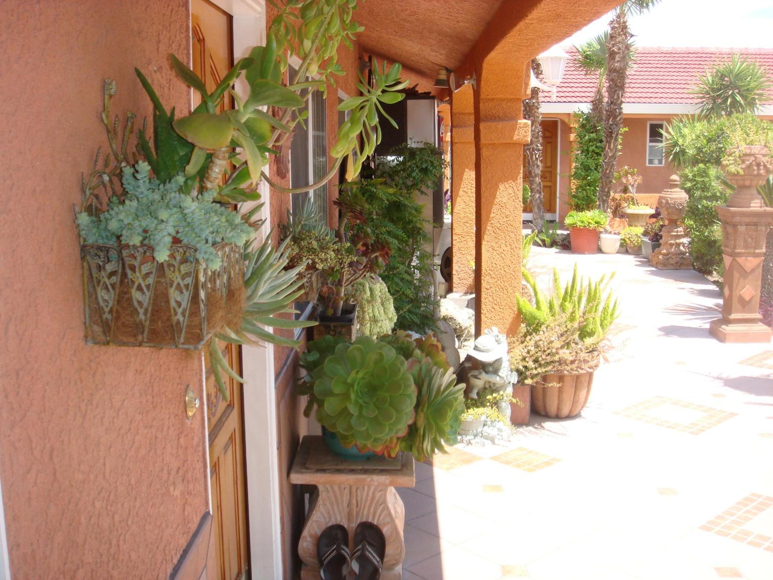 Photo 26