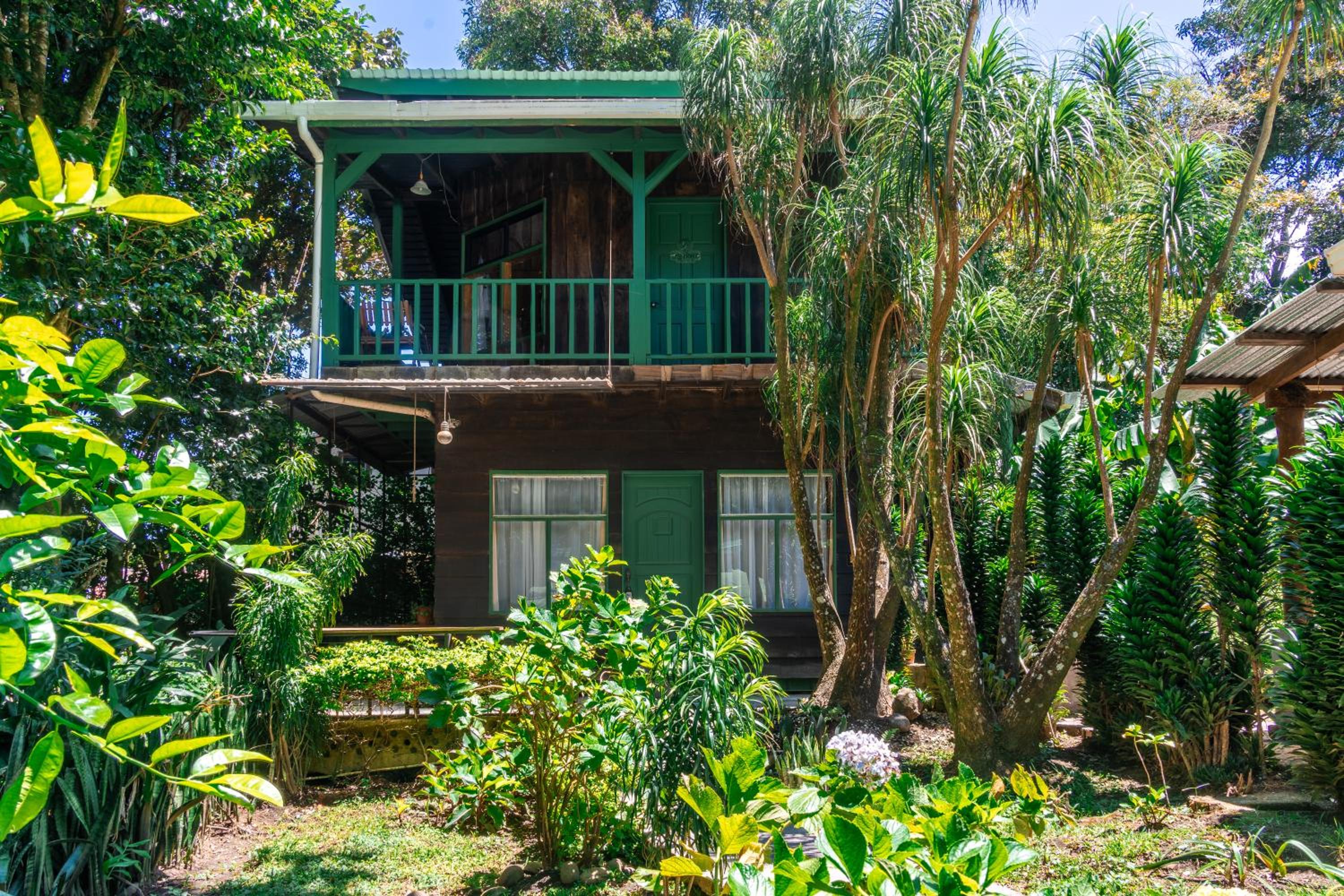 Rustic Treehouse Monteverde