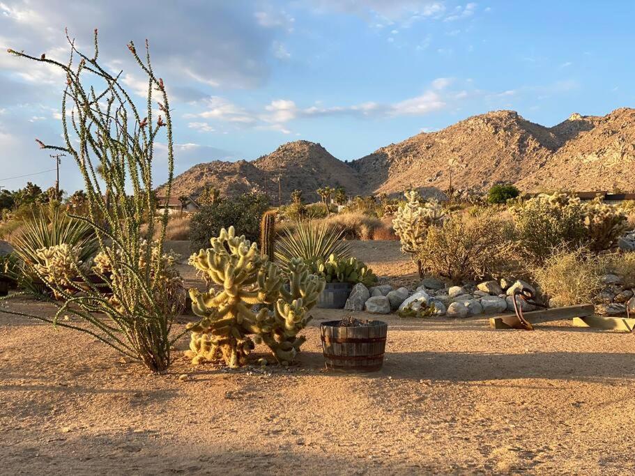 La Bandita