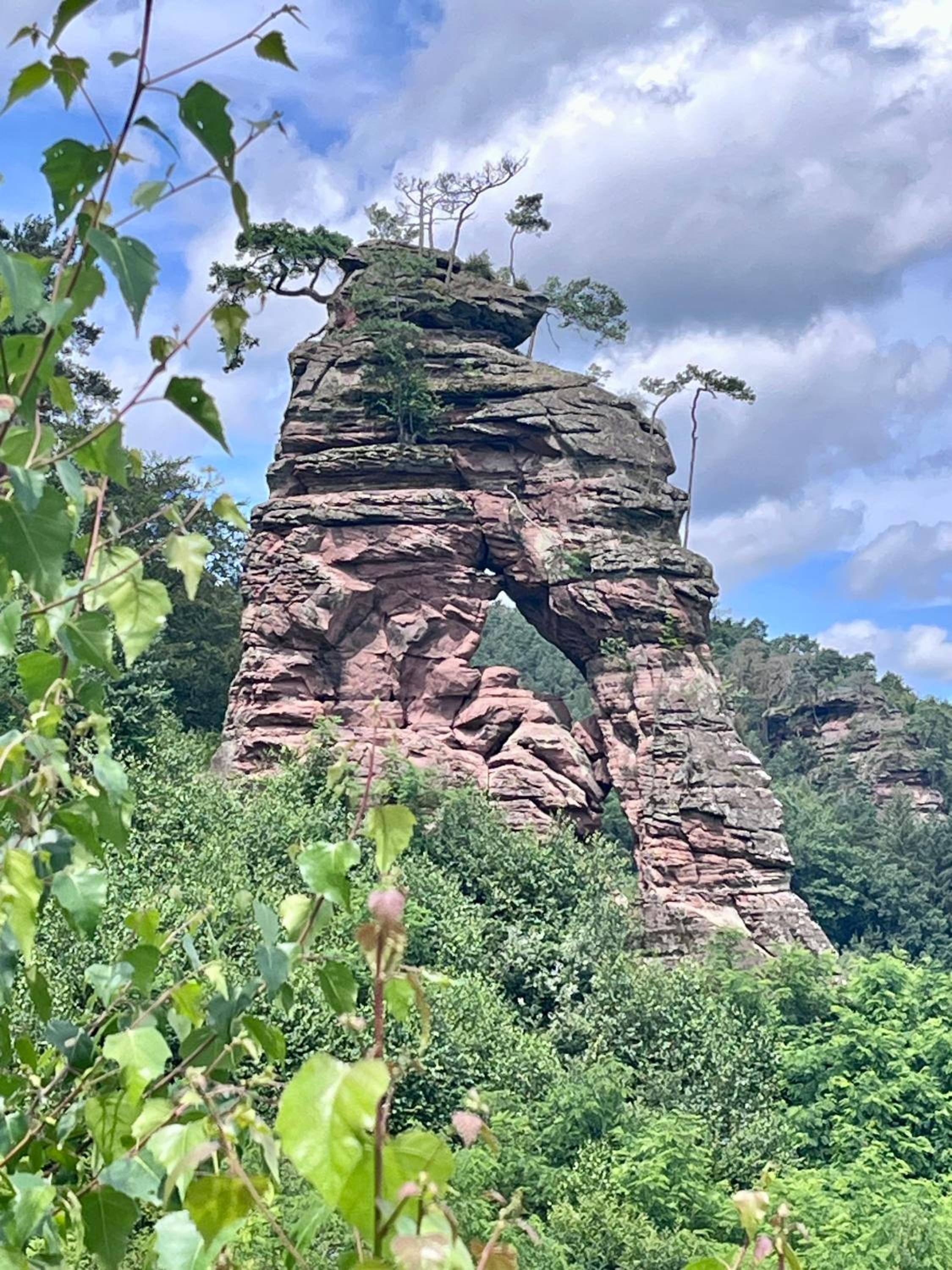 Barbaras Felsenlodge