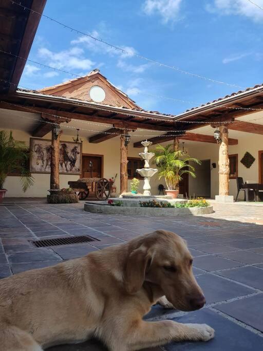 Beautiful Country House