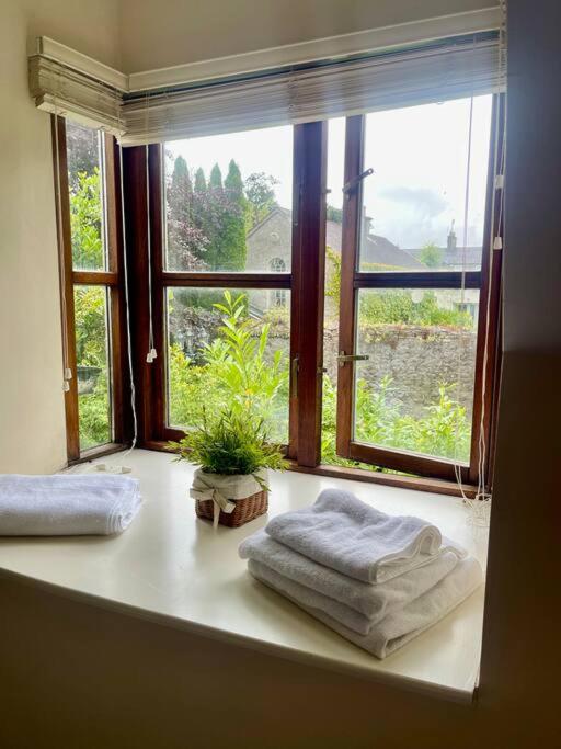 Elegant Townhouse steps from historic Birr Castle