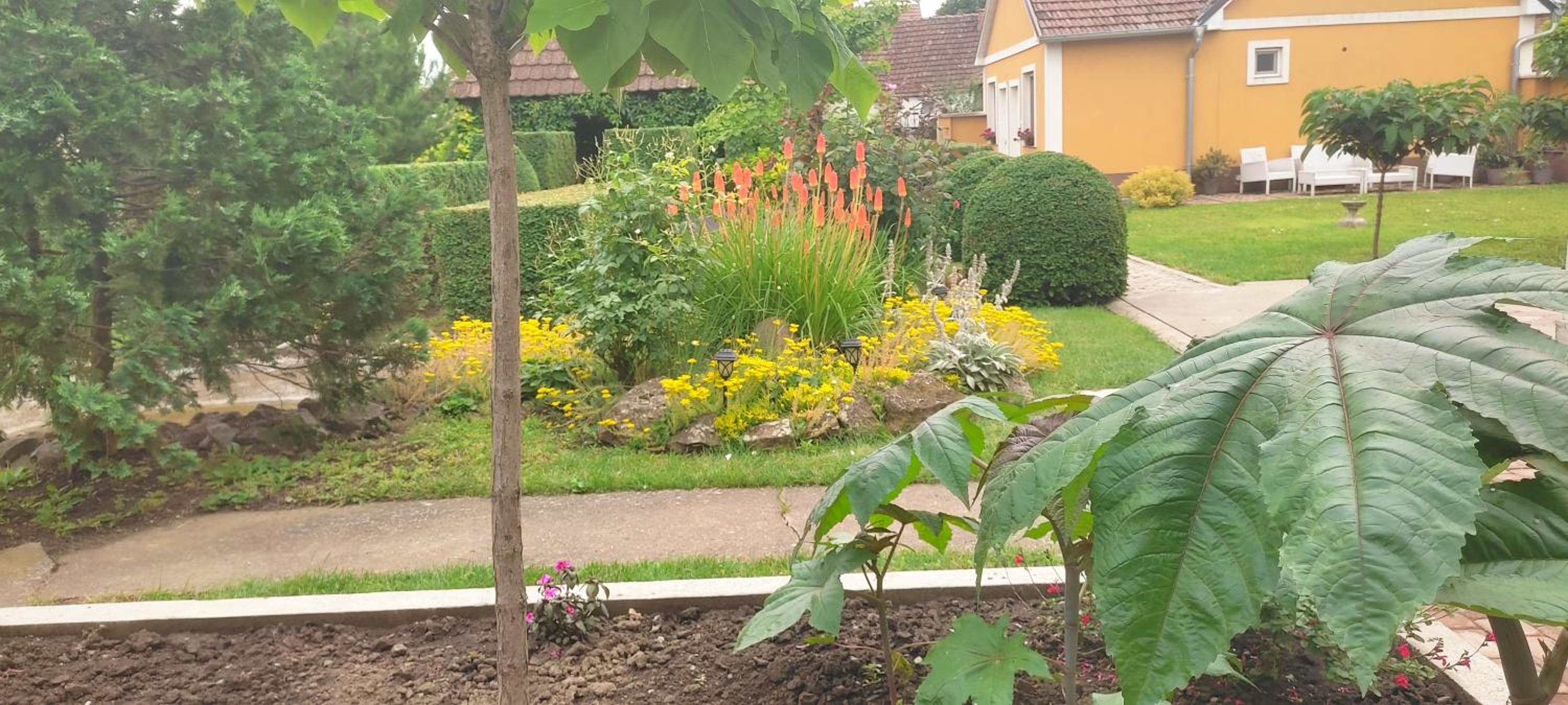 Photo 10