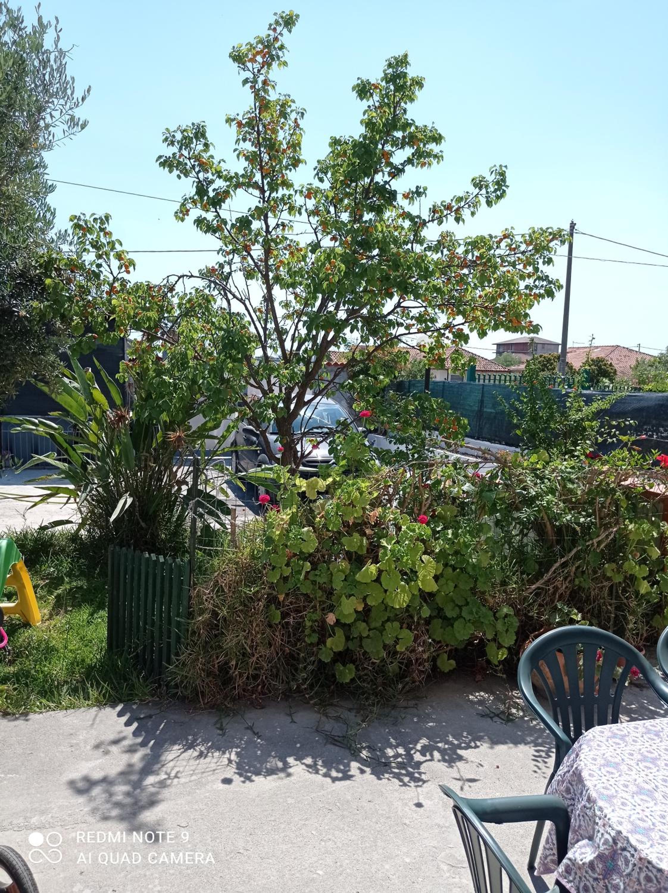 Villa Mirko view 2
