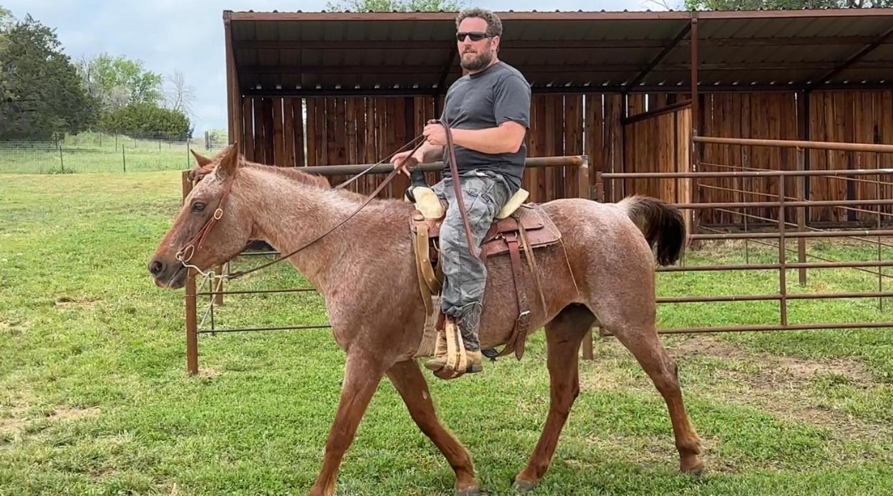 7 Hico Glamping Farm Animals Campfire near Glen Rose by Vacation Your Way