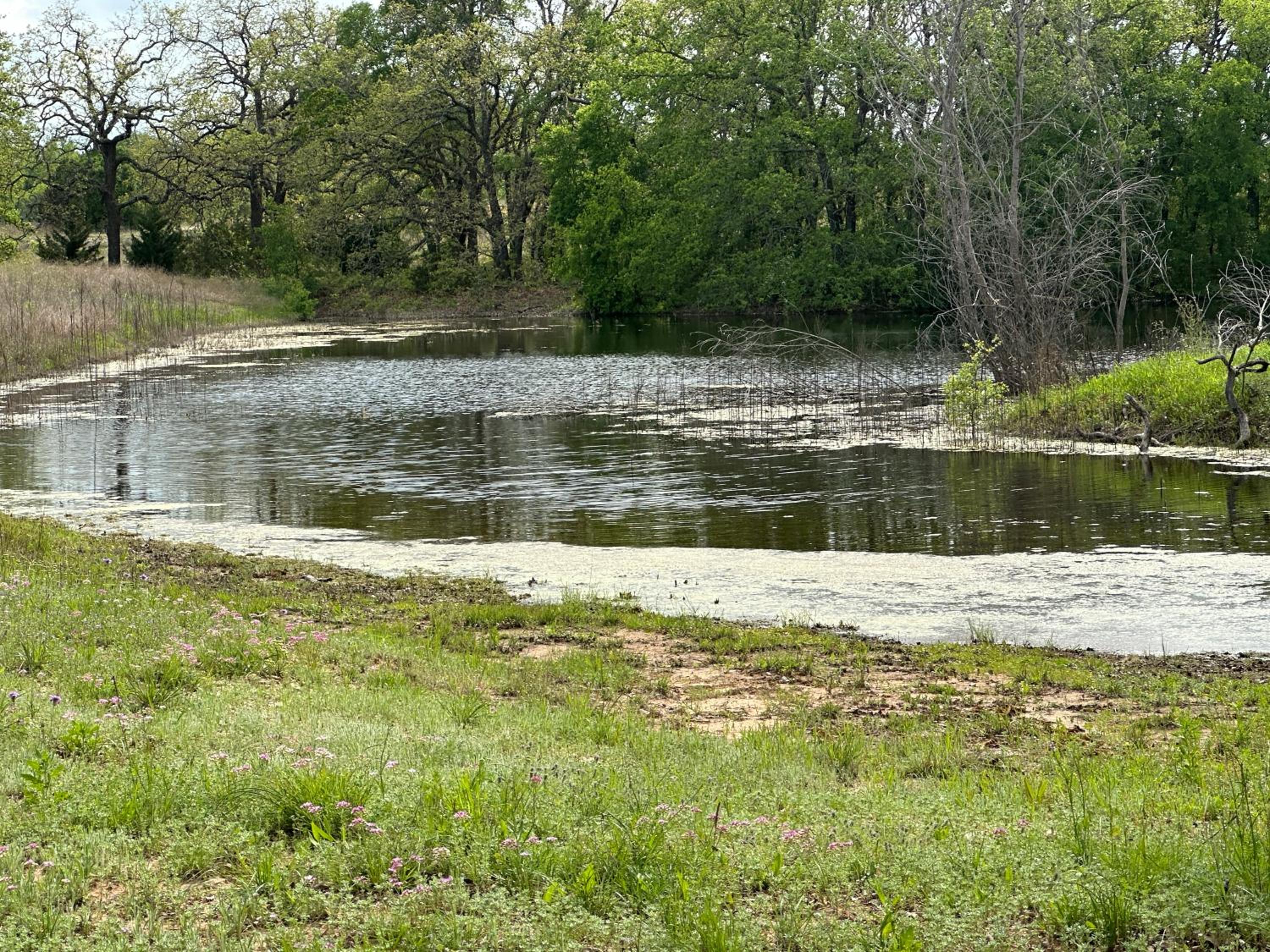7 Hico Glamping Farm Animals Campfire near Glen Rose by Vacation Your Way