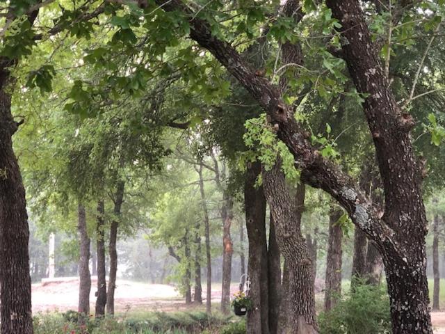 7 Hico Glamping Farm Animals Campfire near Glen Rose by Vacation Your Way