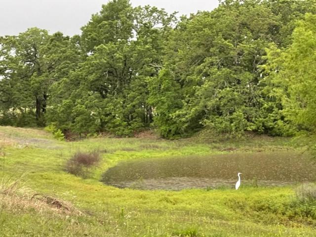7 Hico Glamping Farm Animals Campfire near Glen Rose by Vacation Your Way