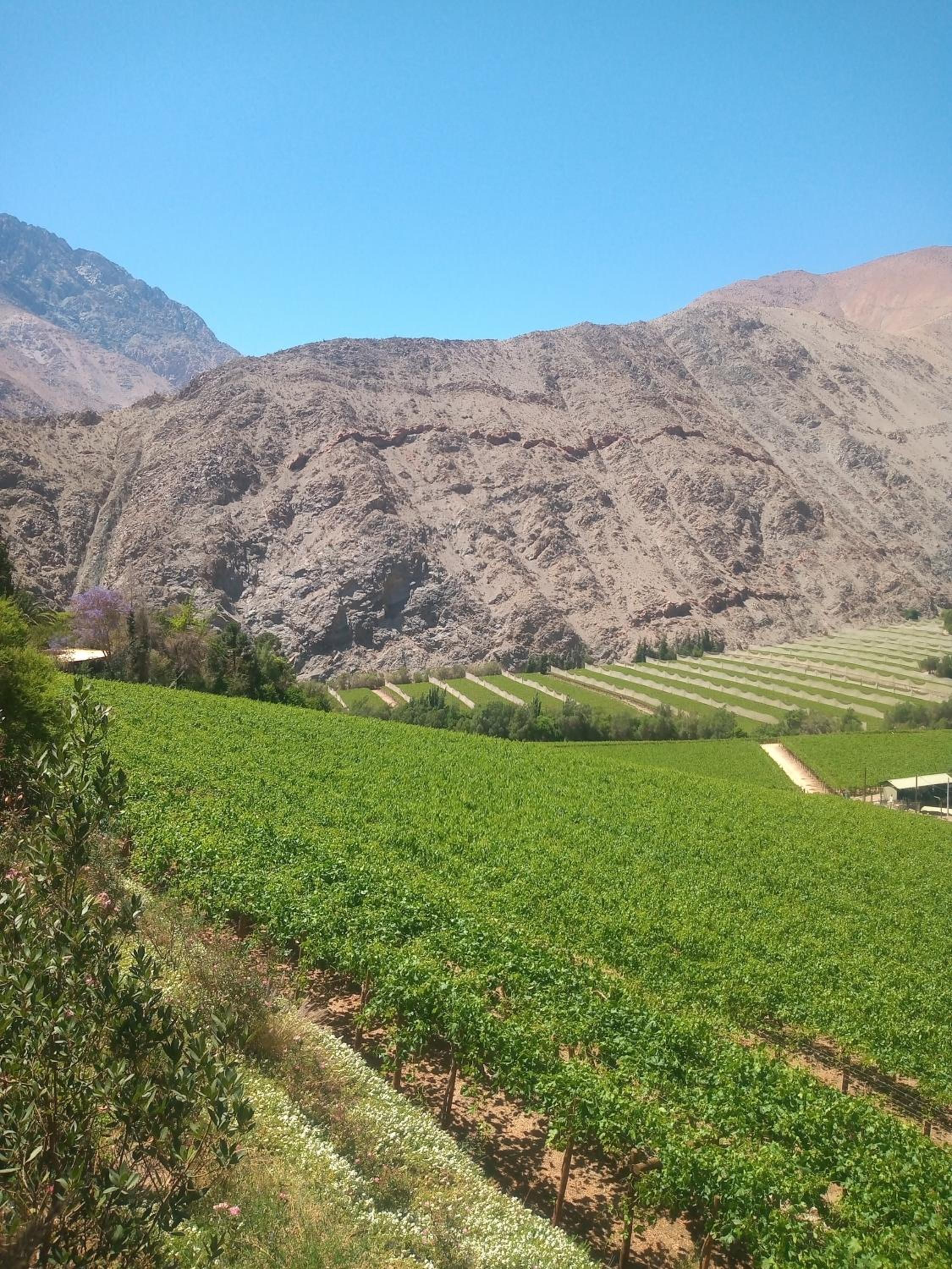 Casa Gabriela, Monte Grande ,Valle de Elqui