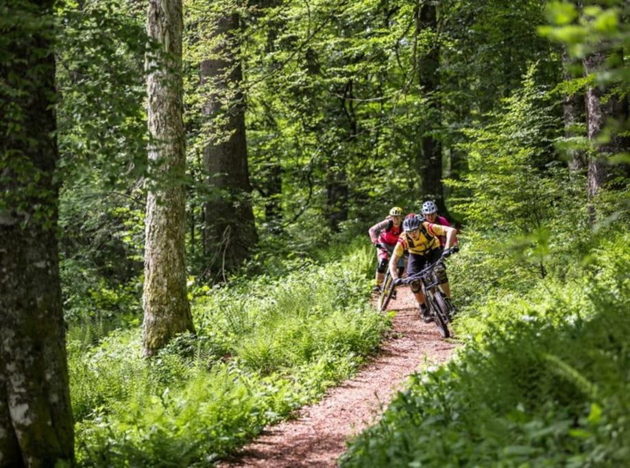 FeWo mit Whirlpool, Infrarot-Sauna & Schwarzwaldblick