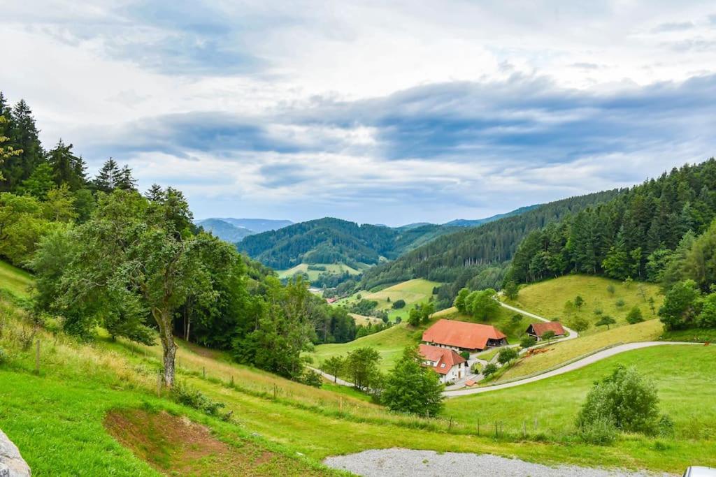 FeWo mit Whirlpool, Infrarot-Sauna & Schwarzwaldblick