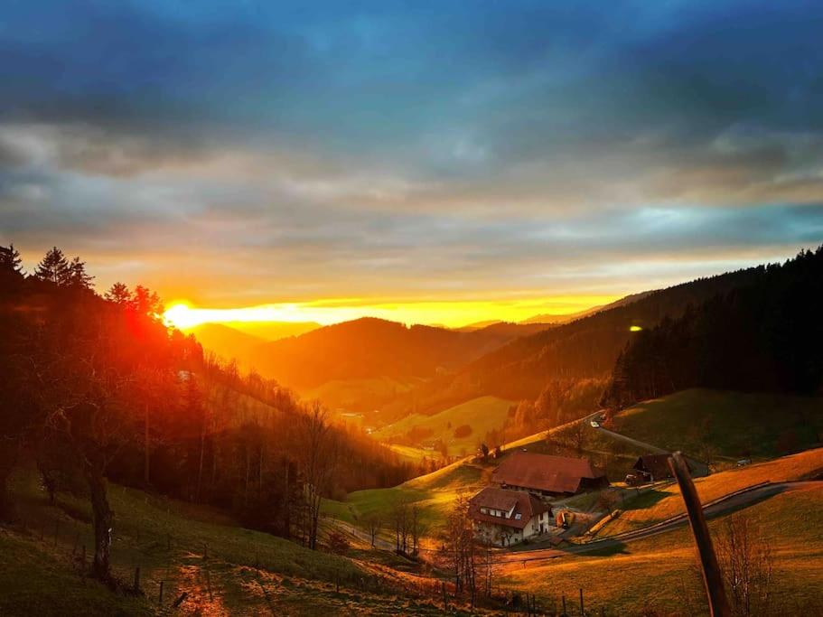 FeWo mit Whirlpool, Infrarot-Sauna & Schwarzwaldblick