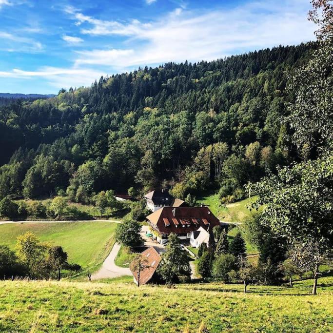 FeWo mit Whirlpool, Infrarot-Sauna & Schwarzwaldblick