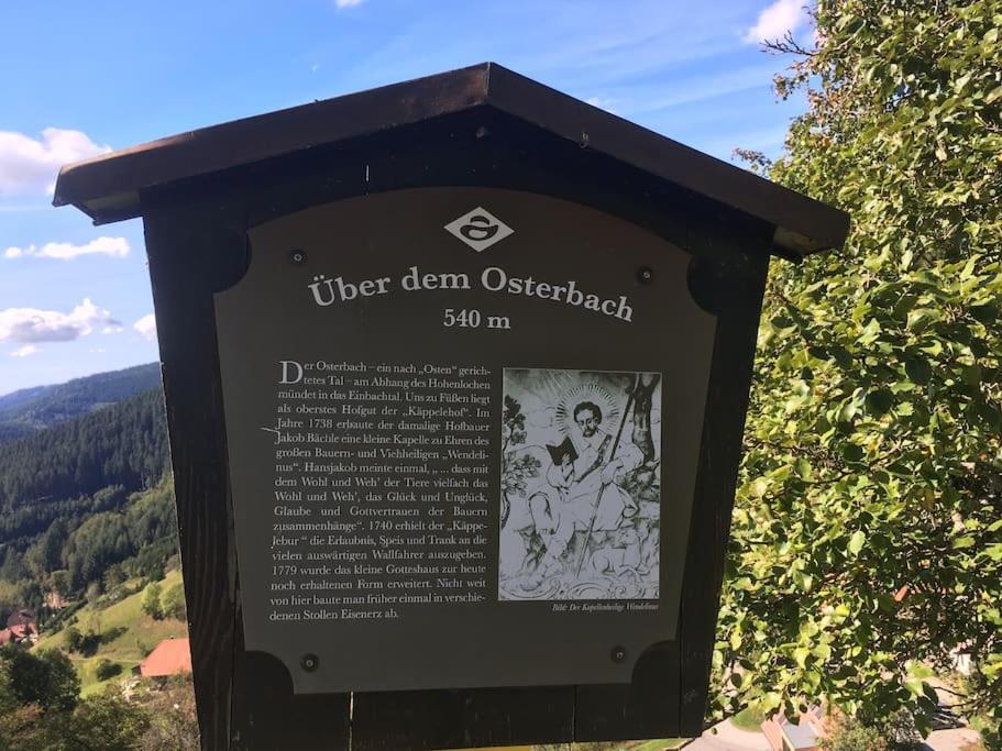 FeWo mit Whirlpool, Infrarot-Sauna & Schwarzwaldblick