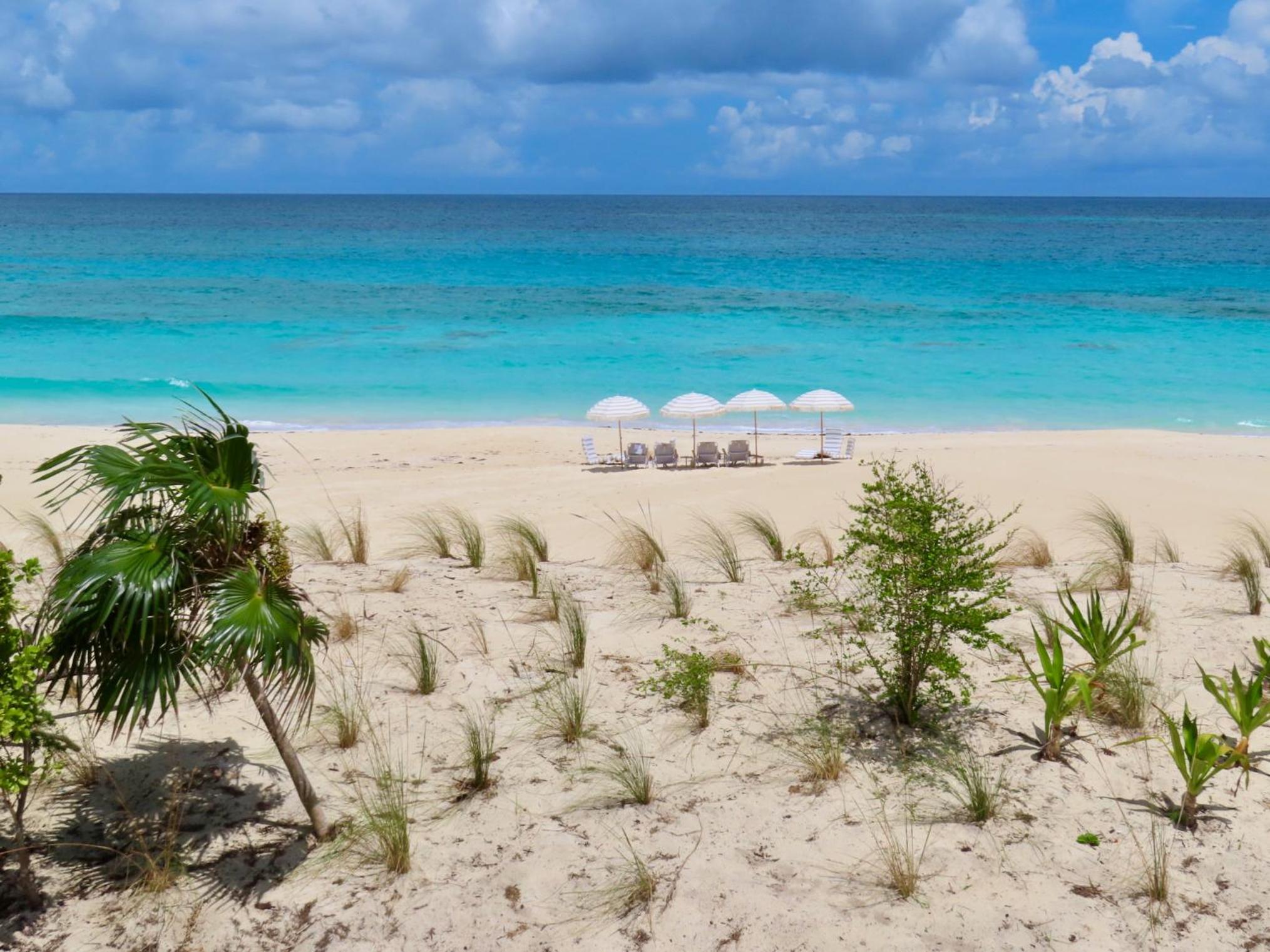 Sea Salt Bahamas on Great Guana Cay