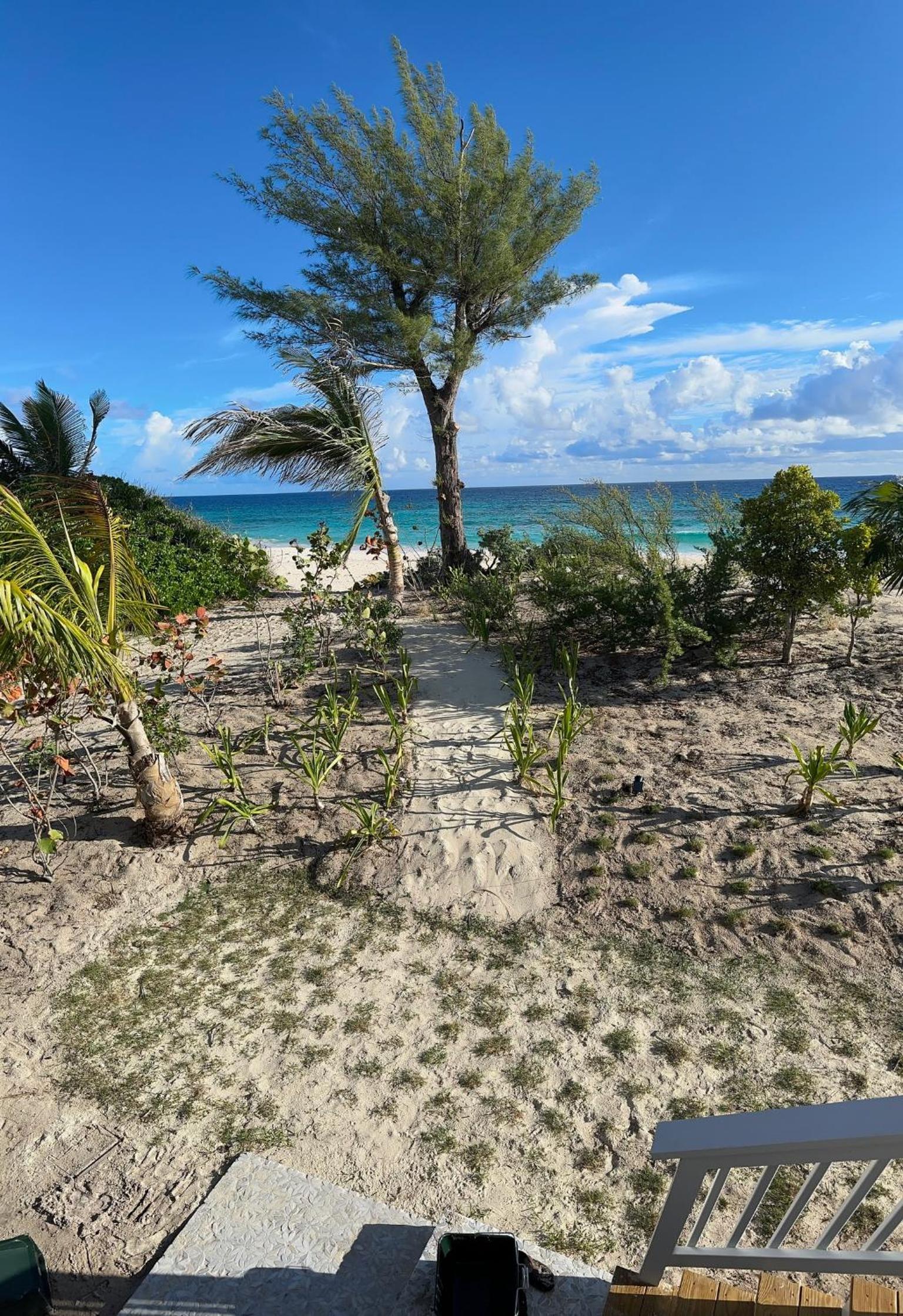 Sea Salt Bahamas on Great Guana Cay