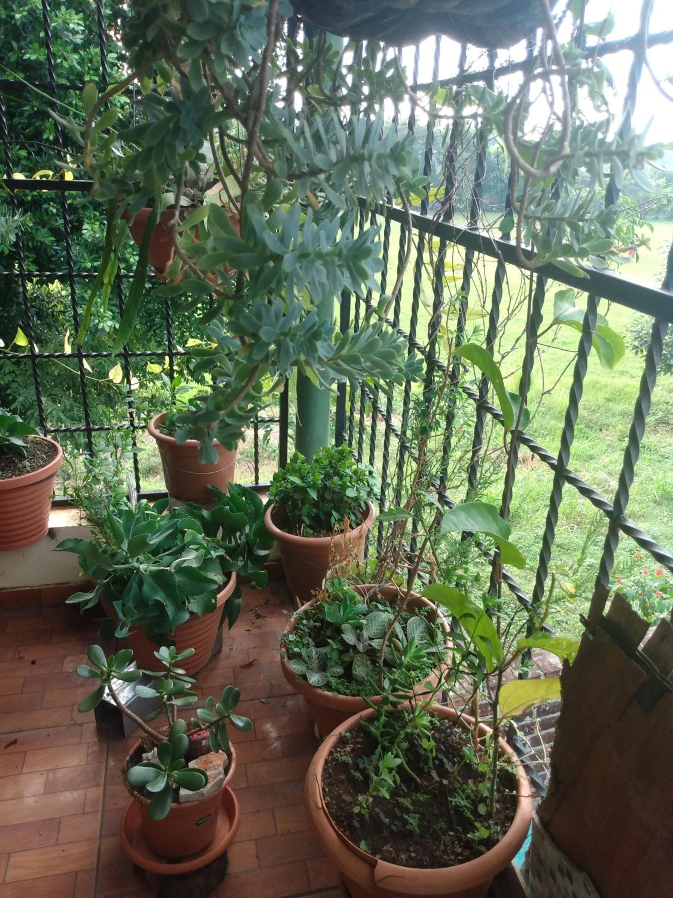 Casa de Douglas y Emerita view 3