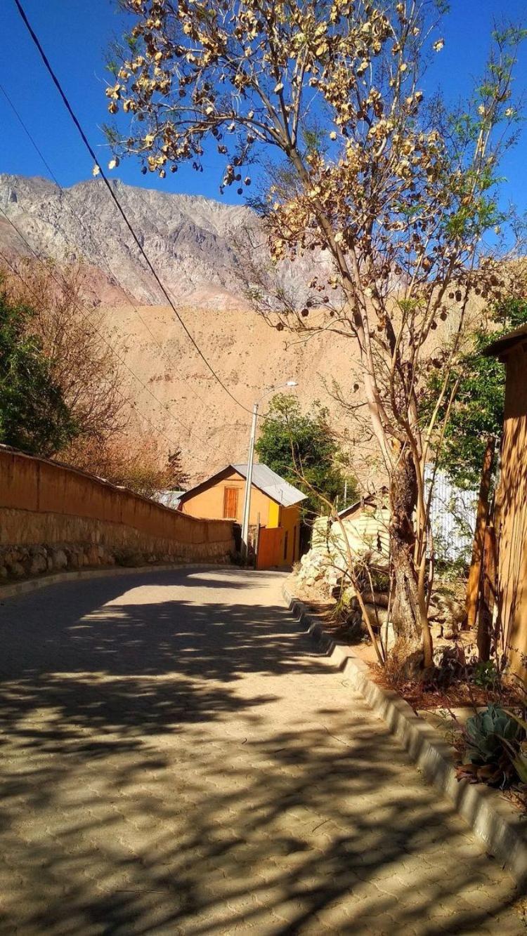 Casa Gabriela, Monte Grande ,Valle de Elqui