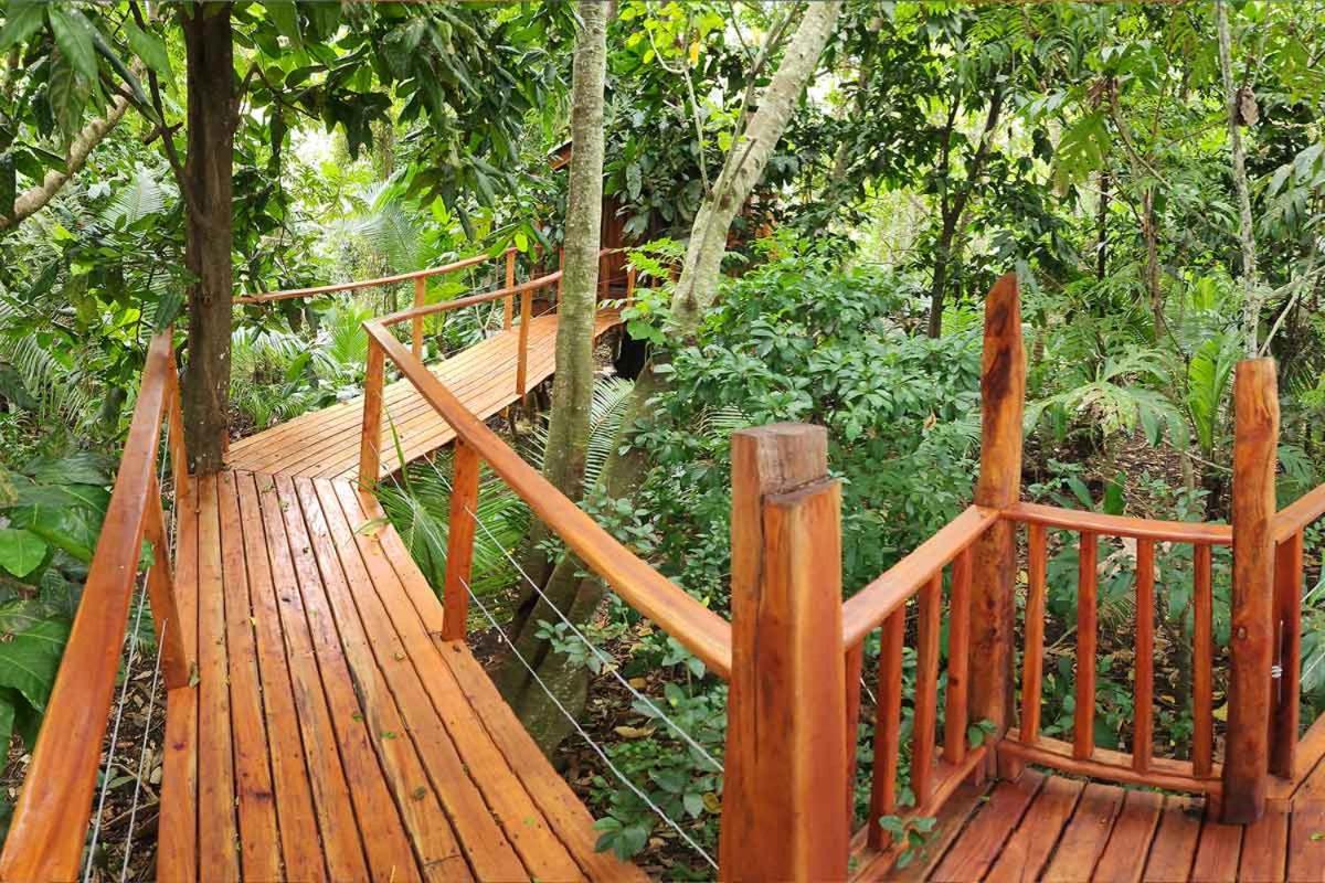 Tukulolo Treehouses view 2