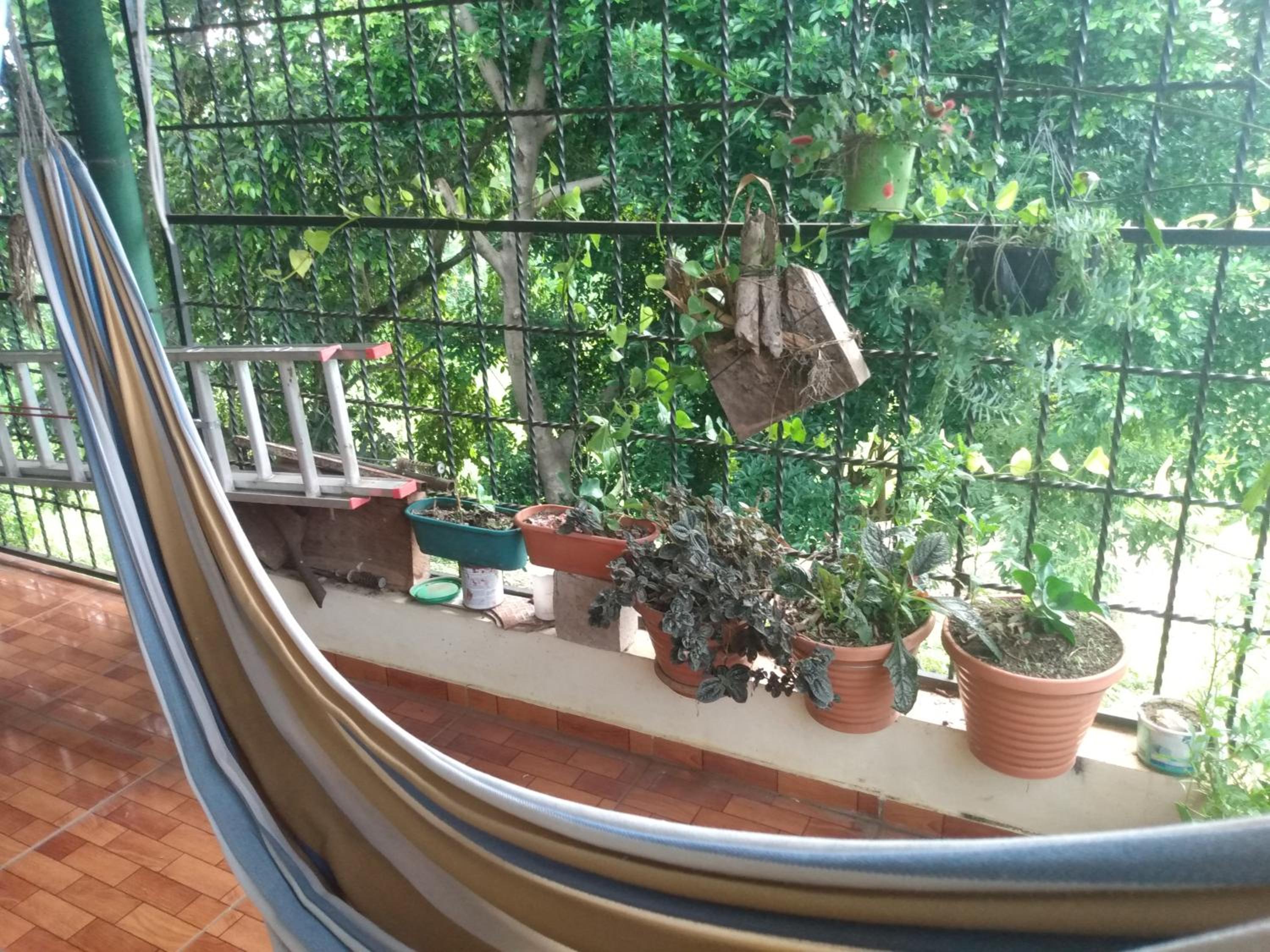 Casa de Douglas view 5