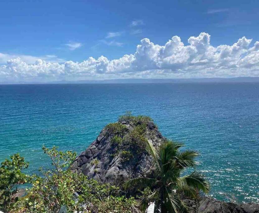Ocean Front Deluxe Condo