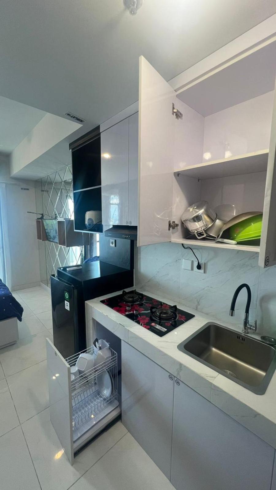 Delf Apartment at CPI view 4