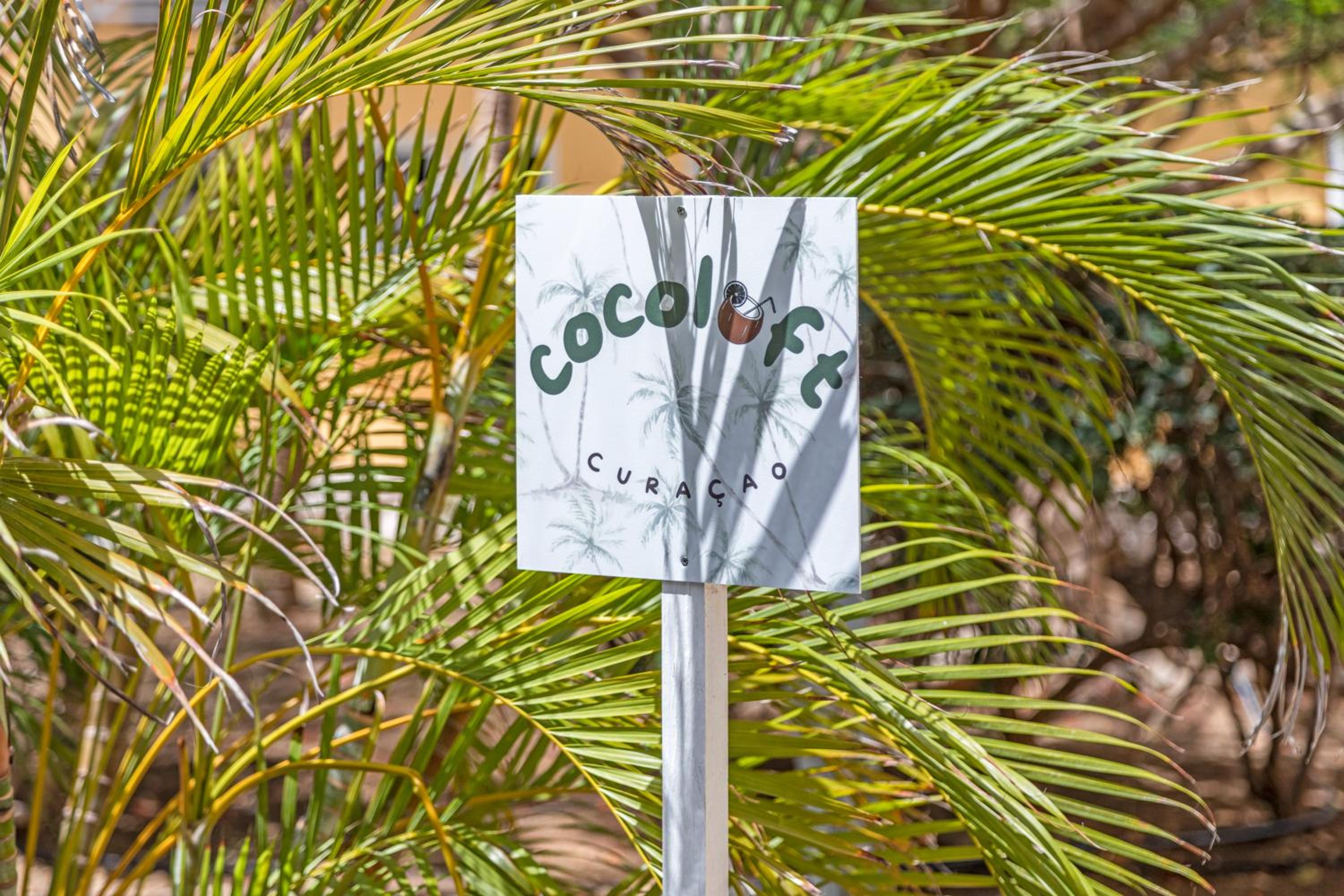 Cocoloft Curacao