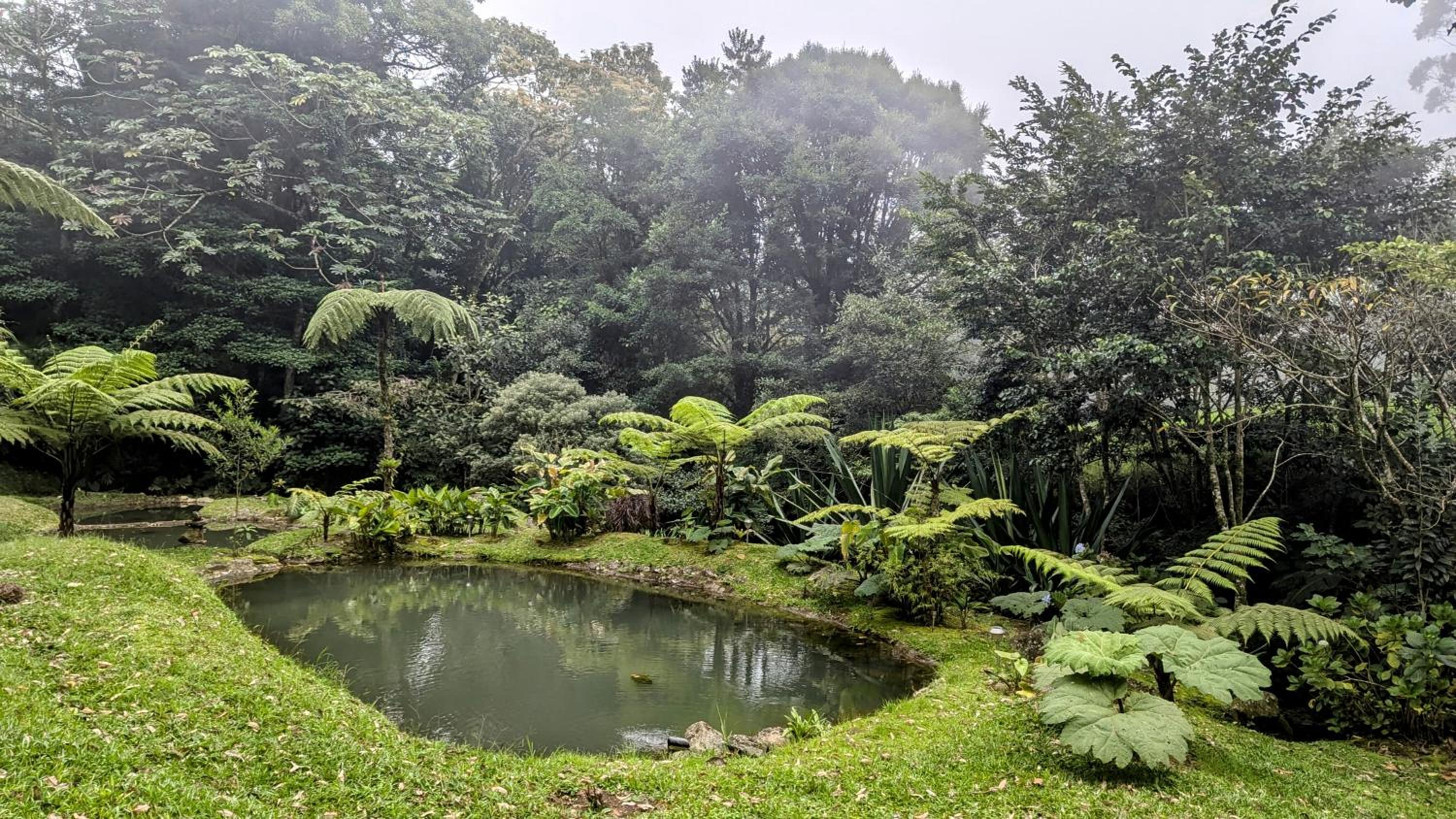 Olingo Monteverde - Stunning Home Near Adventure Parks