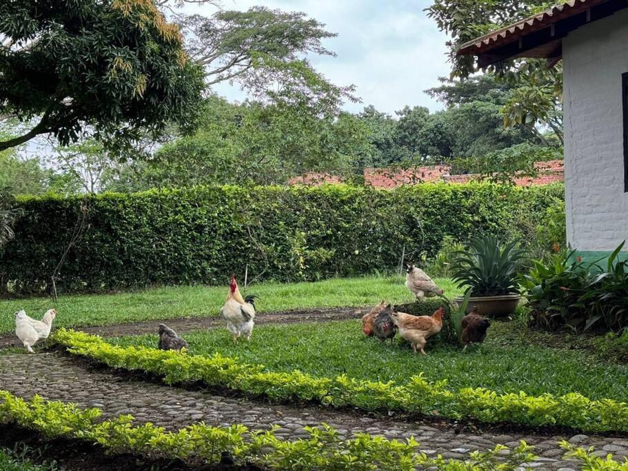 finca para alquiler vacacional