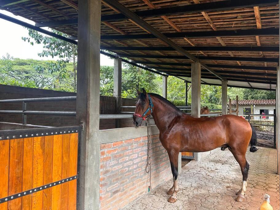 finca para alquiler vacacional