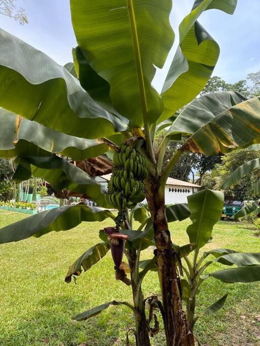 finca para alquiler vacacional