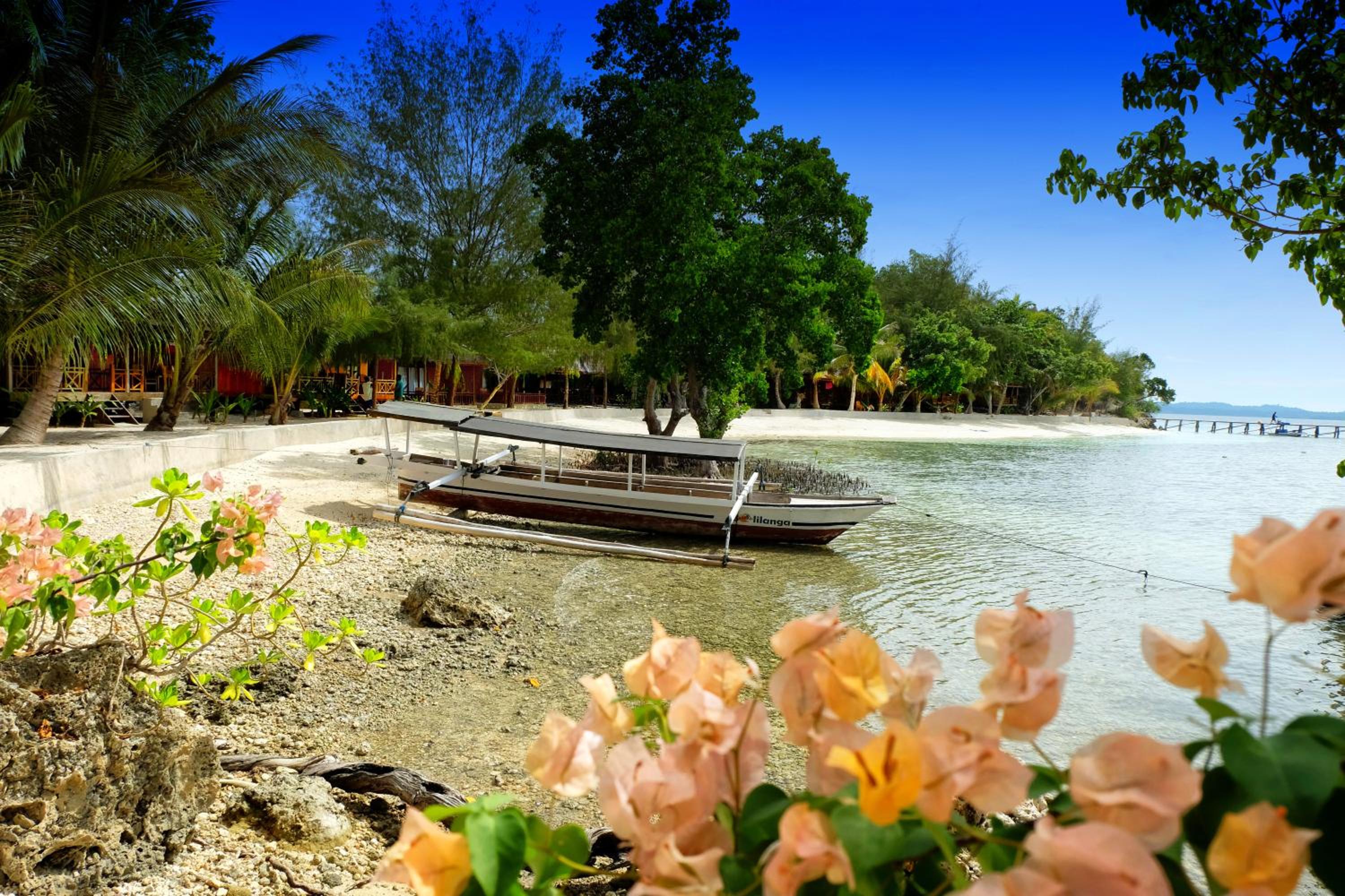 Bolilanga Island Resort - Togean Island view 3