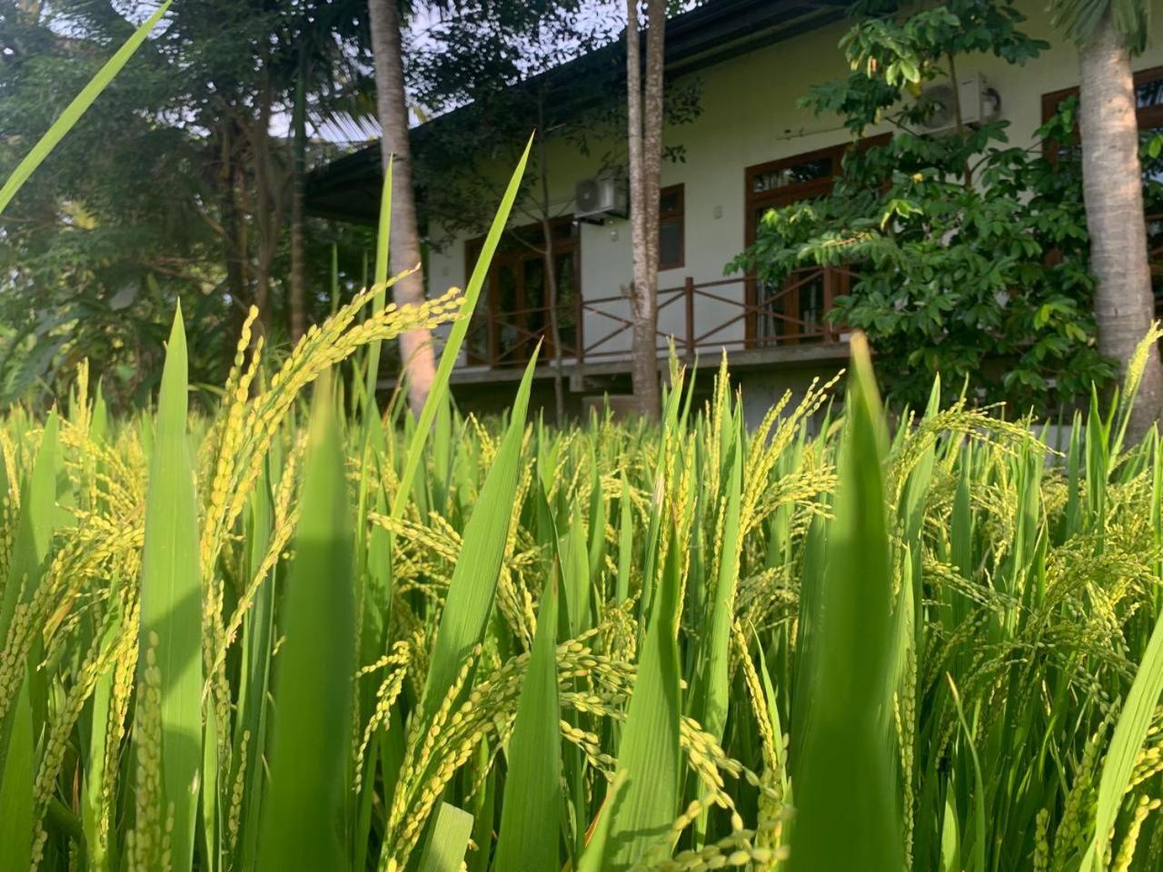 Heritance Bungalow Anuradhapura