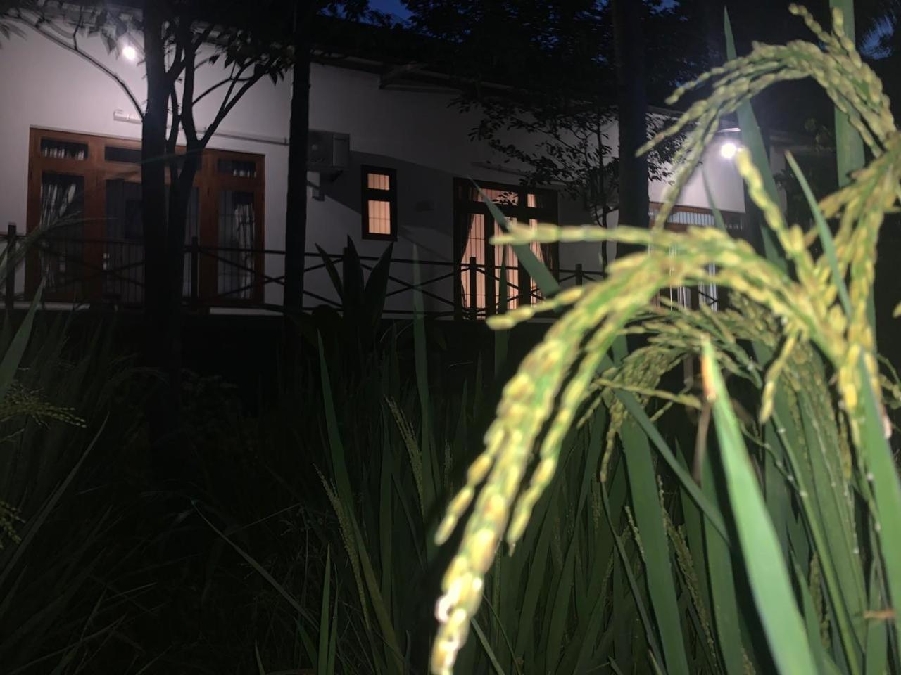 Heritance Bungalow Anuradhapura